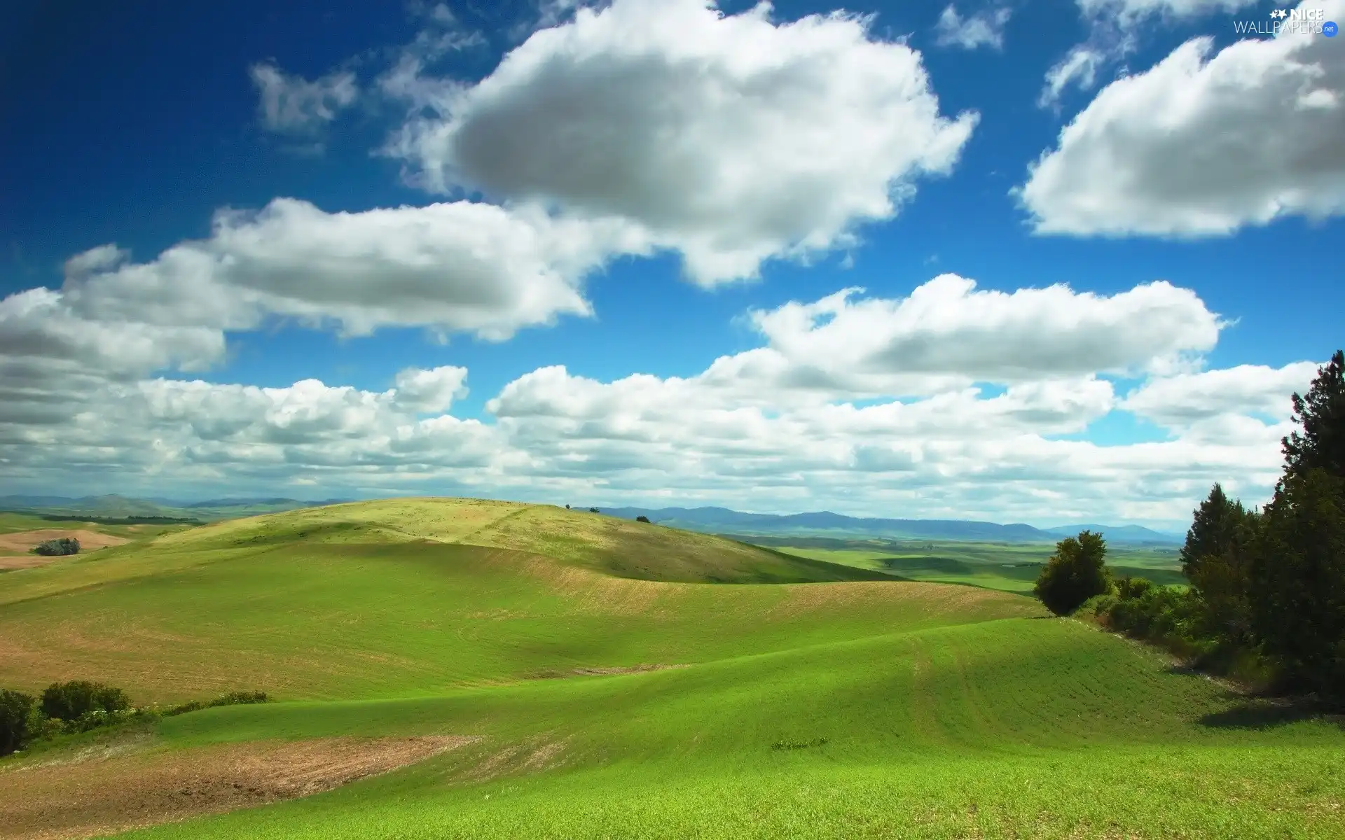 trees, panorama, Mountains, clouds, viewes, field