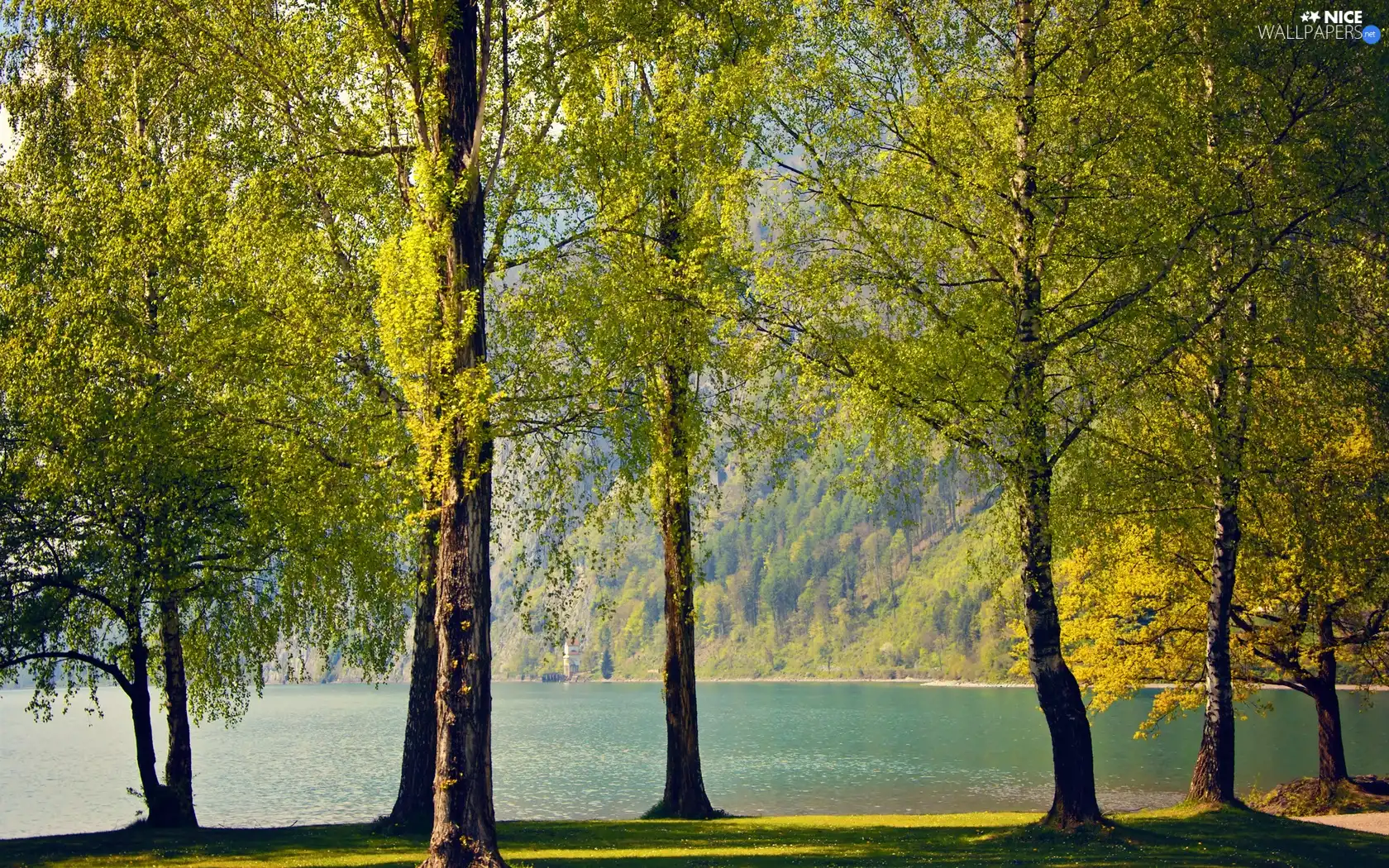 lake, viewes, mountains, trees