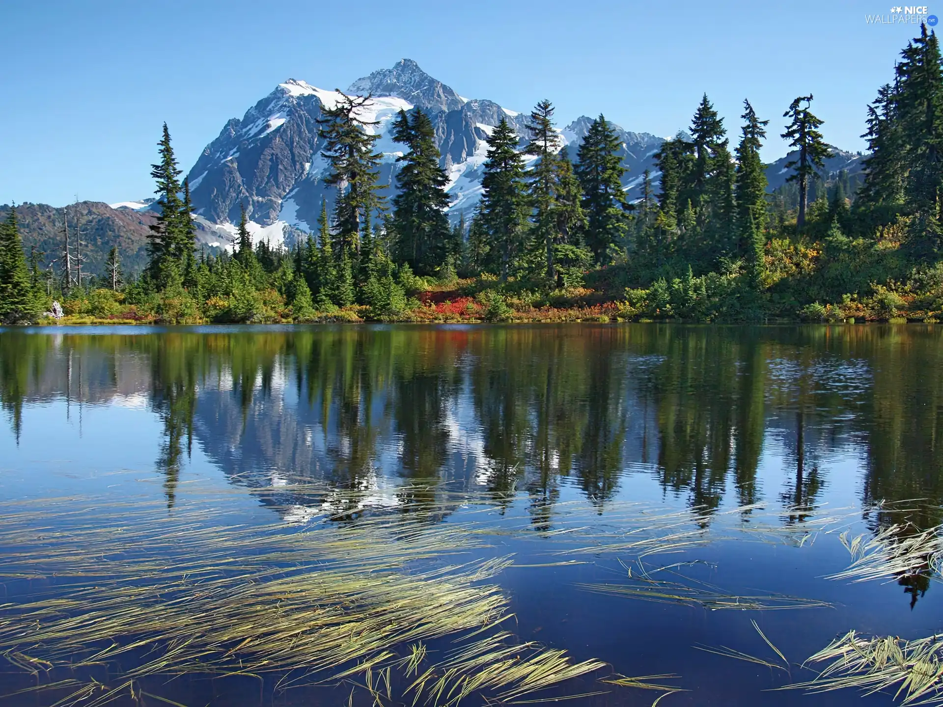 lake, viewes, Mountains, trees