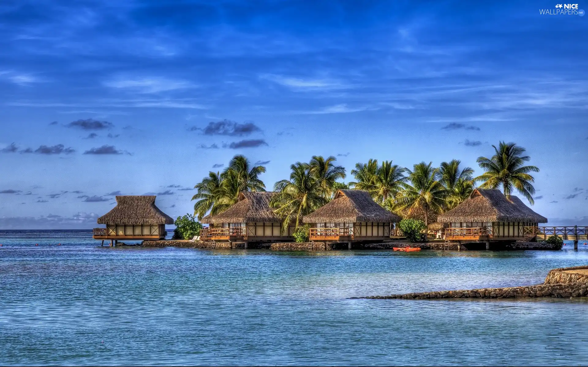 Palms, sea, Houses