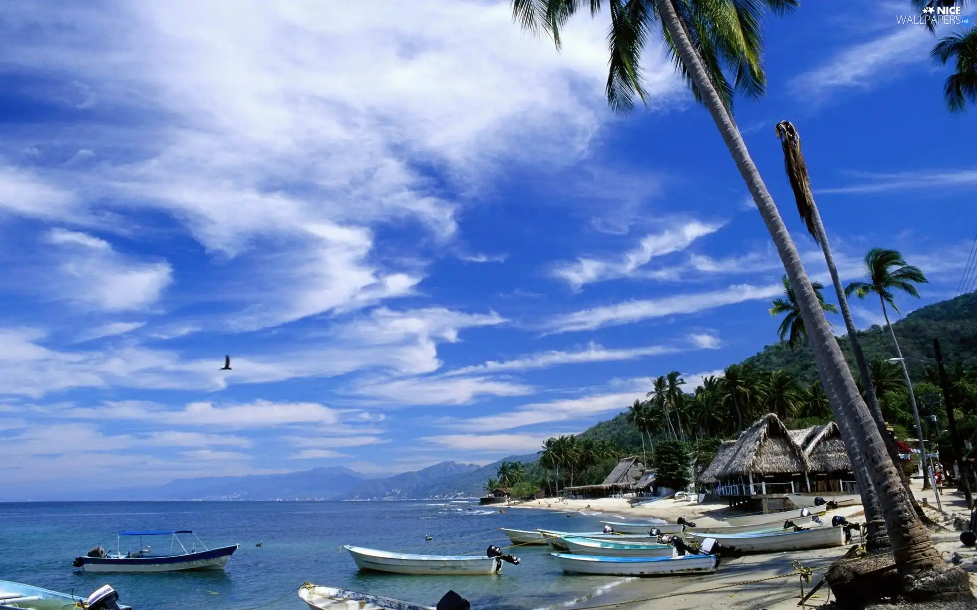 sea, Houses, Palms, Boats