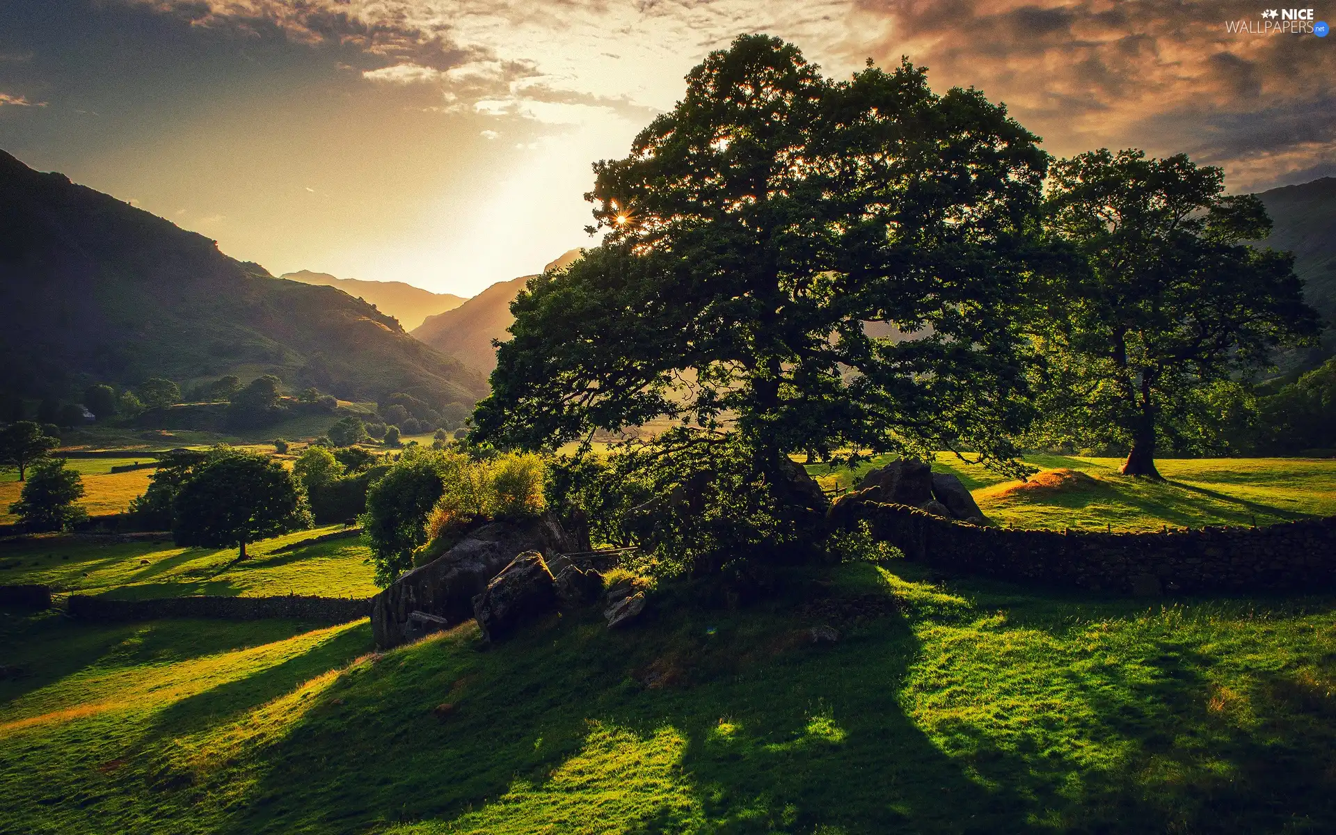 rays, sun, Mountains, woods, medows