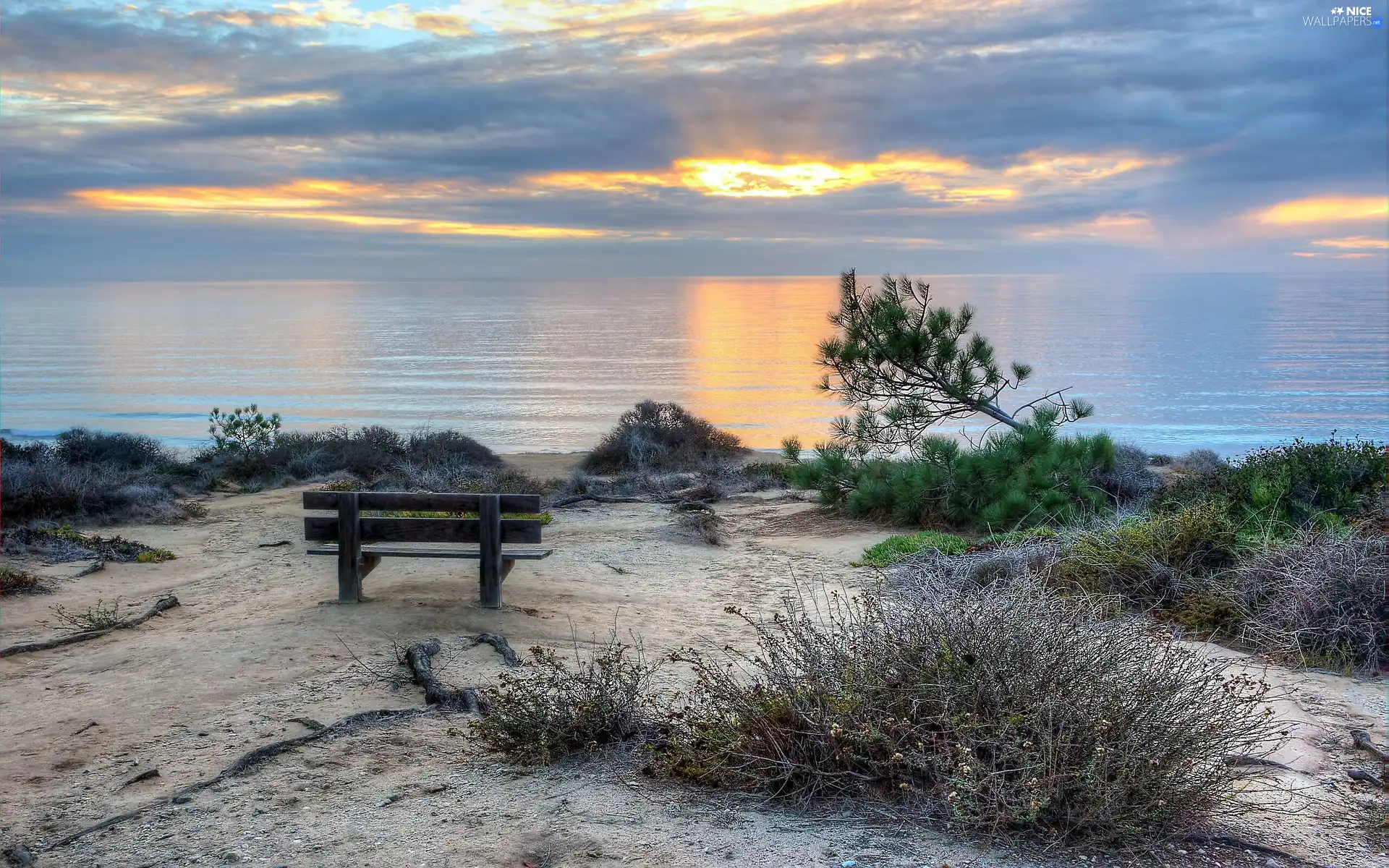 rays, sun, Beaches, Bench, sea