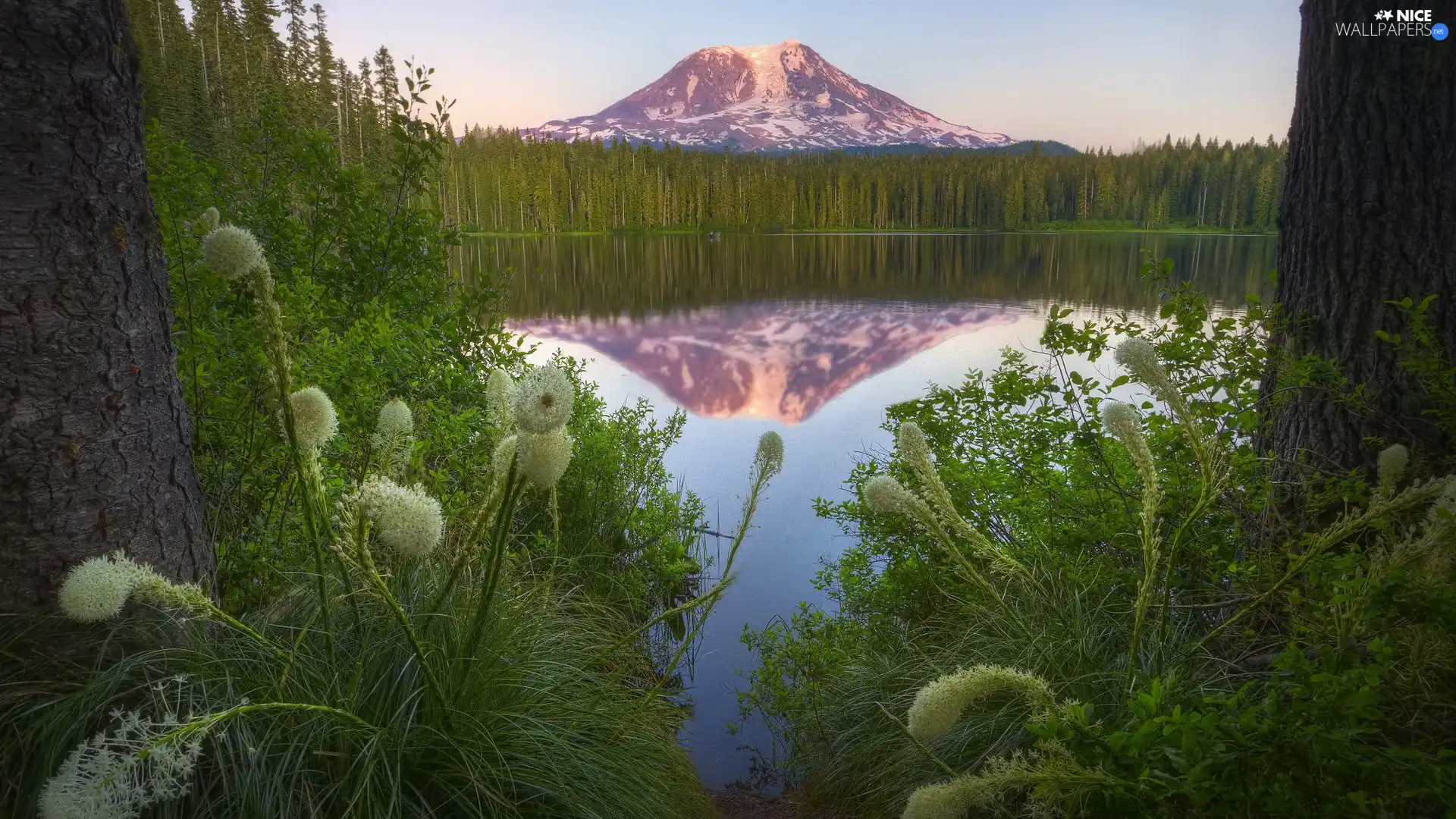 mountains, forest, reflection, lake