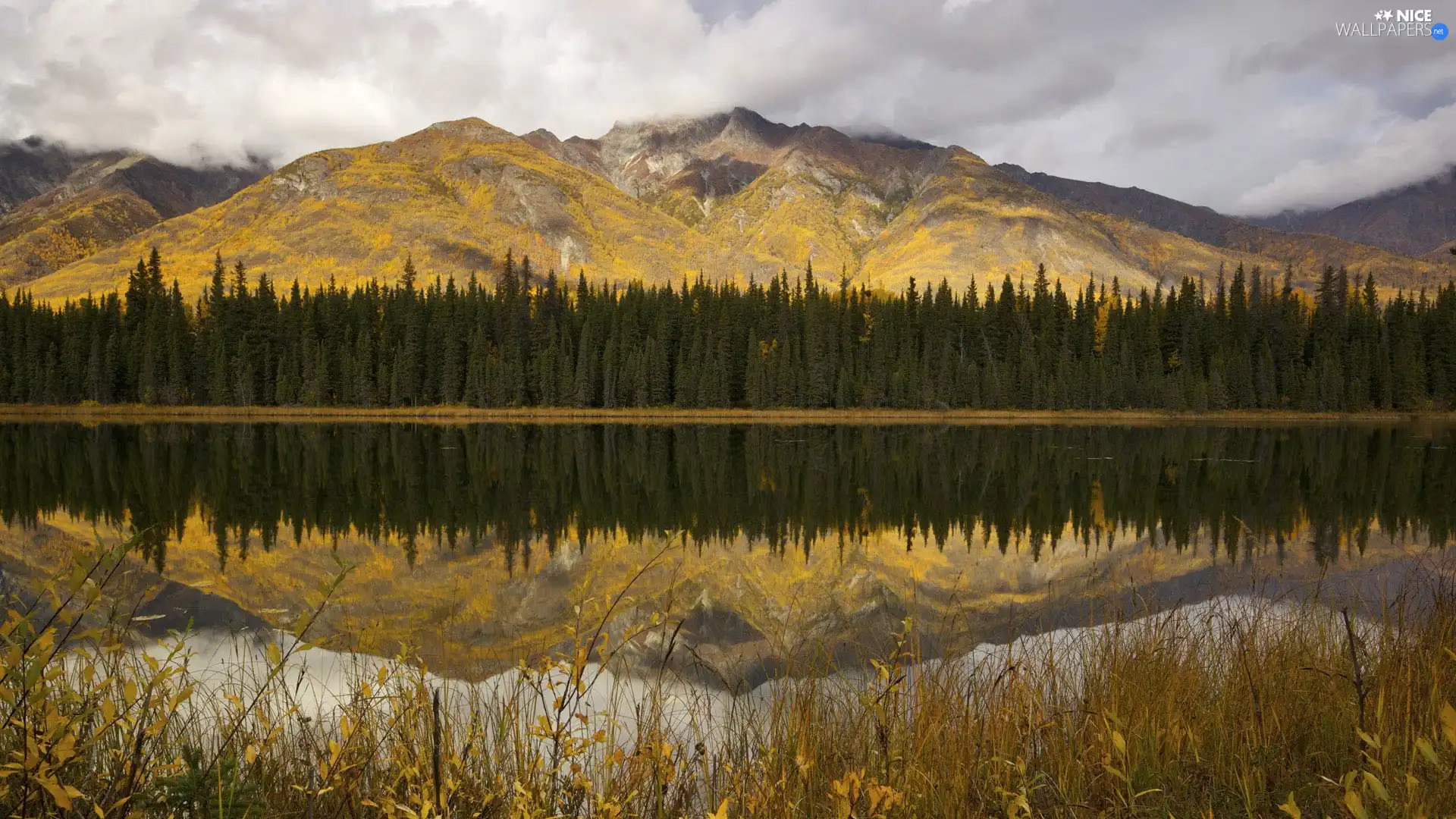 Mountains, lake, reflection, forest