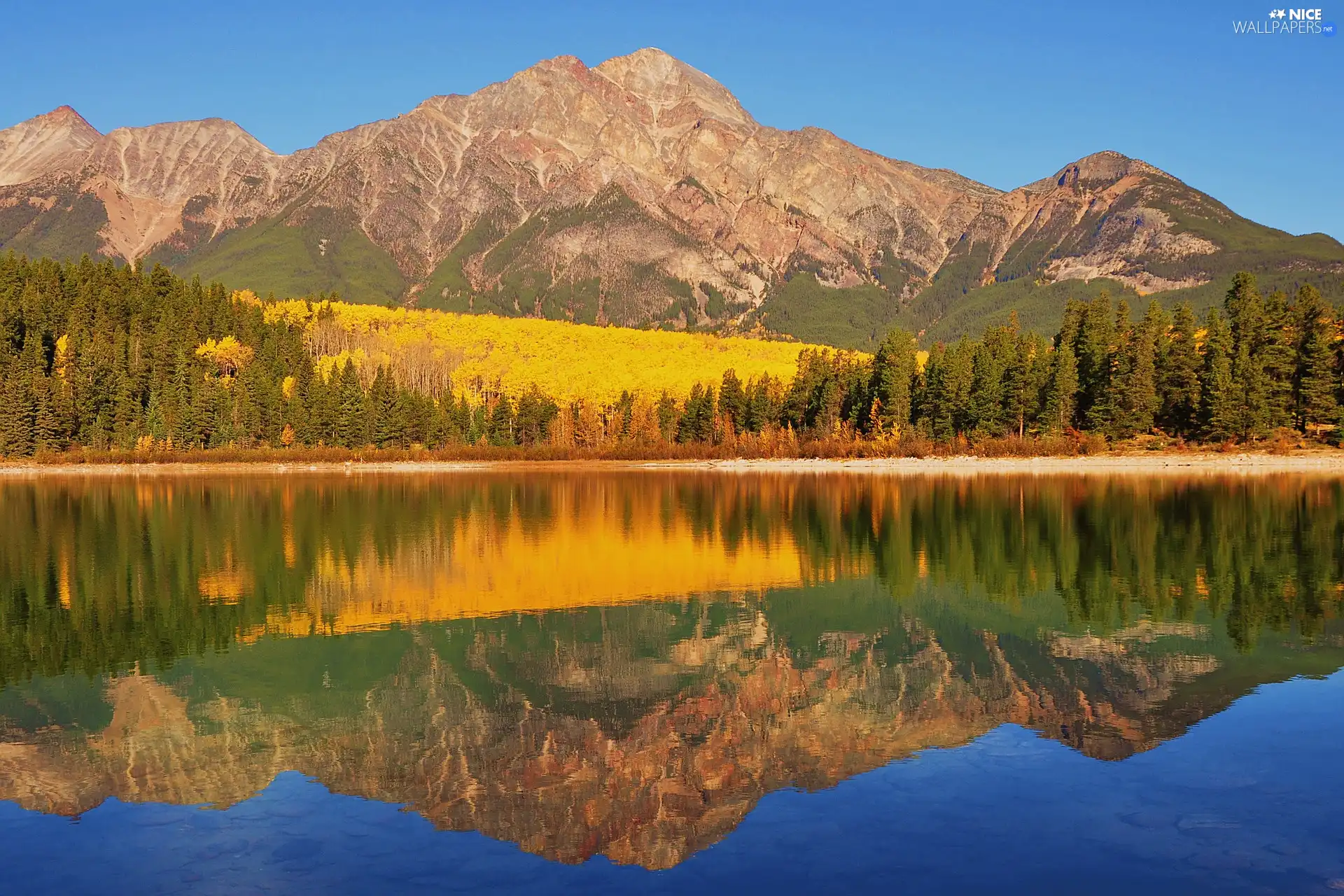 Mountains, woods, reflection, lake