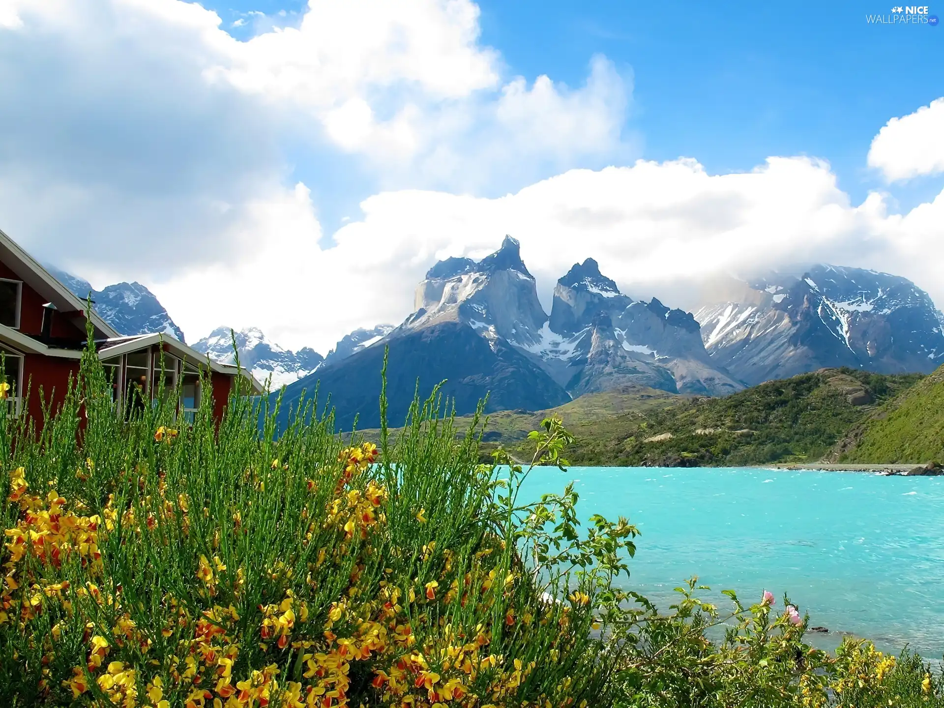 River, Mountains, Flowers, Home, Wildflowers