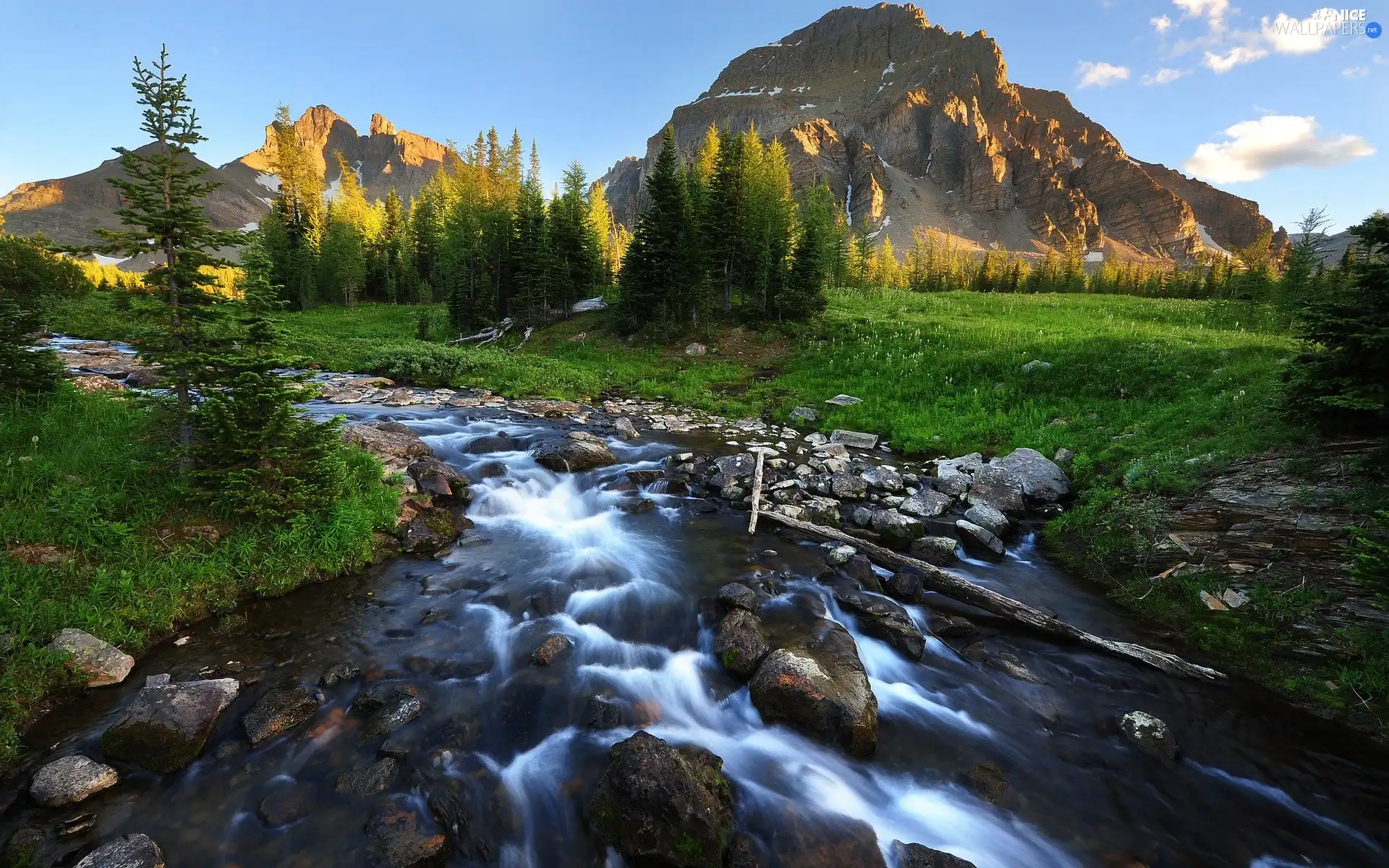 viewes, Mountains, River, Stones, tear, trees