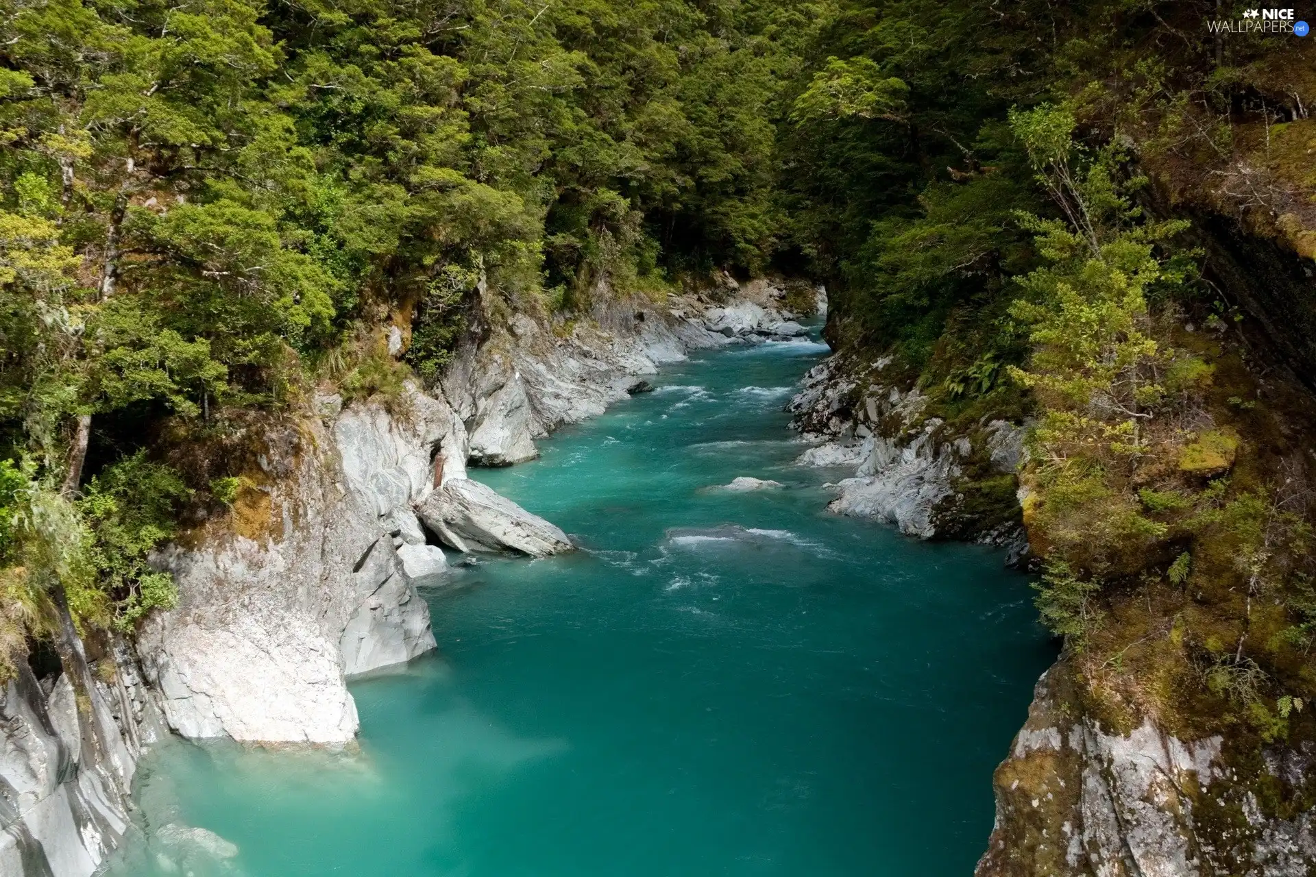 forest, River, rocks, tear