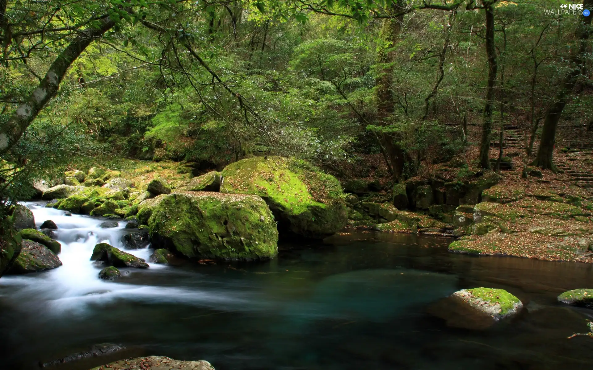 rocks, Stairs, viewes, brook, trees