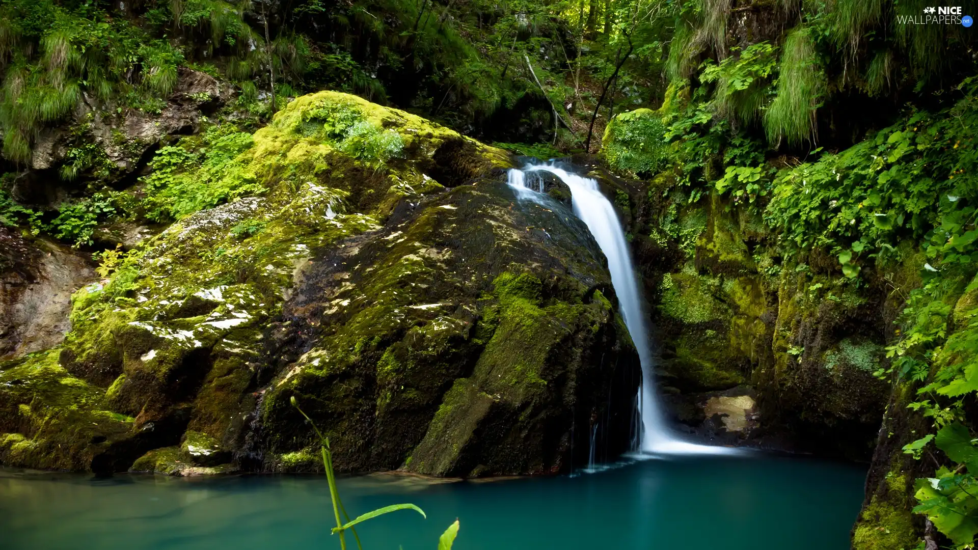 waterfall, rocks