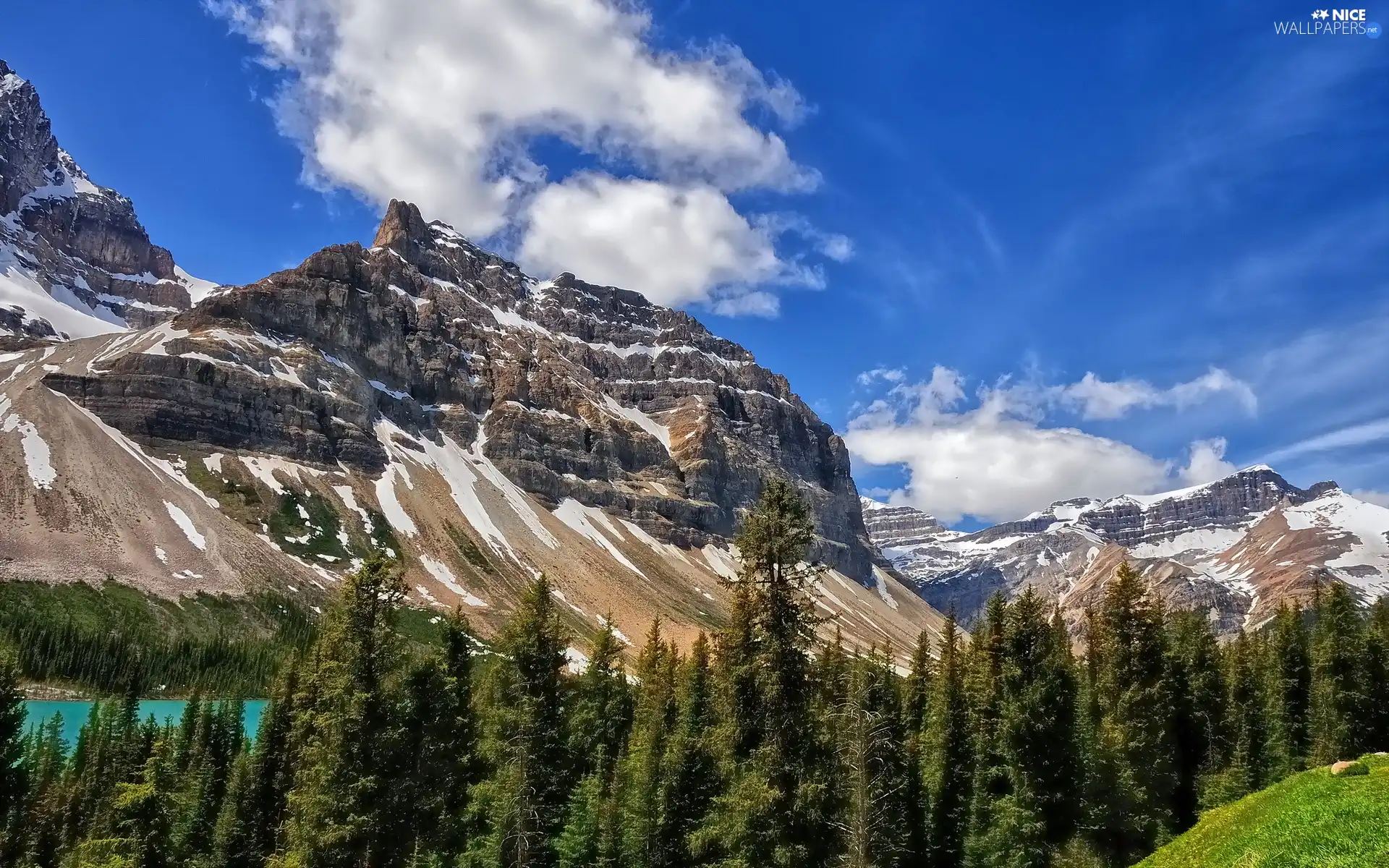 Sky, rocks, forest