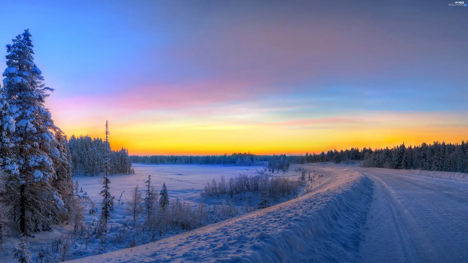 Way, forest, Sky, snow