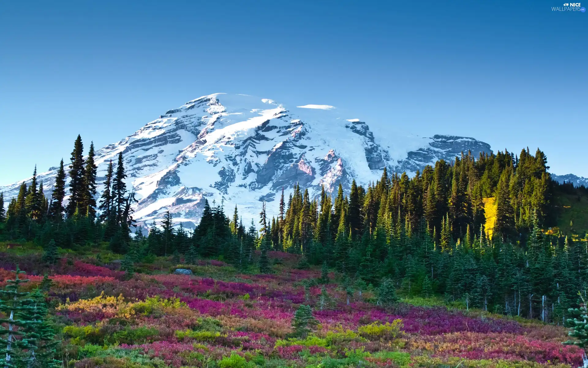 Sky, Mountains, woods