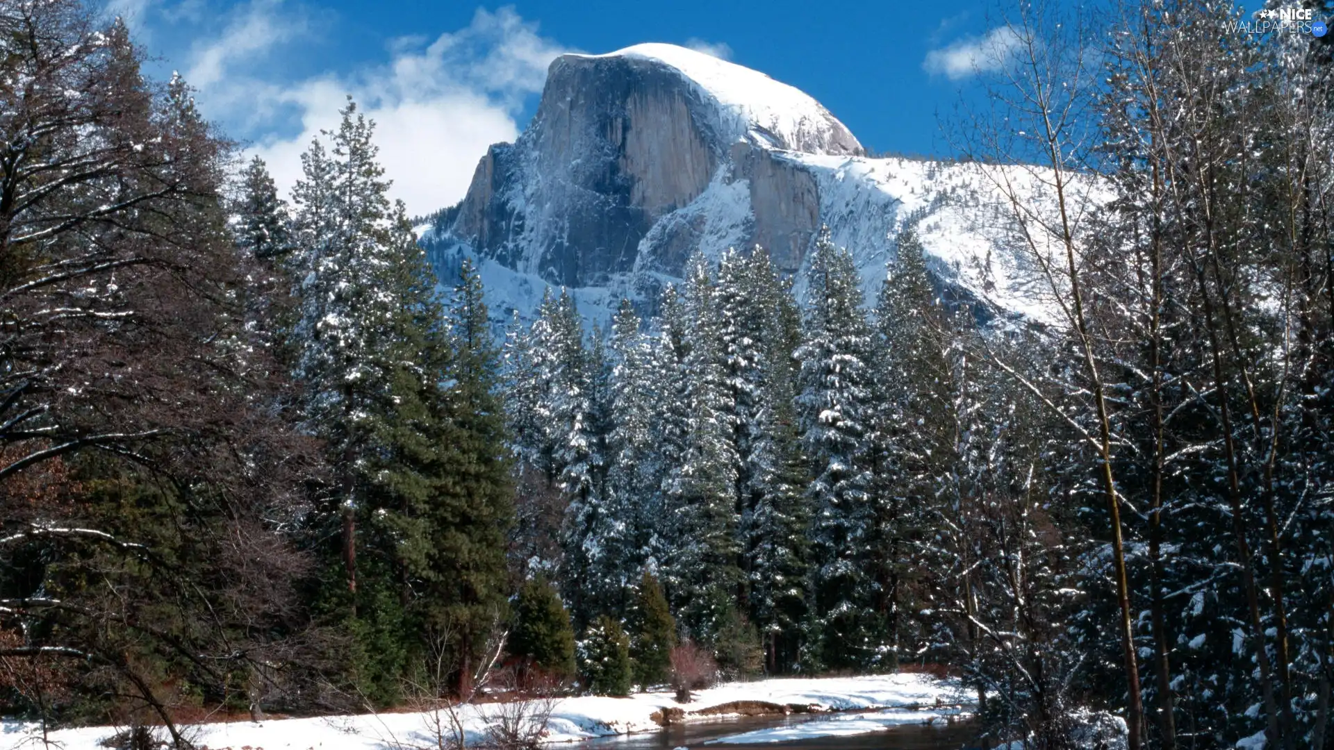 viewes, forest, snow, River, Mountains, trees