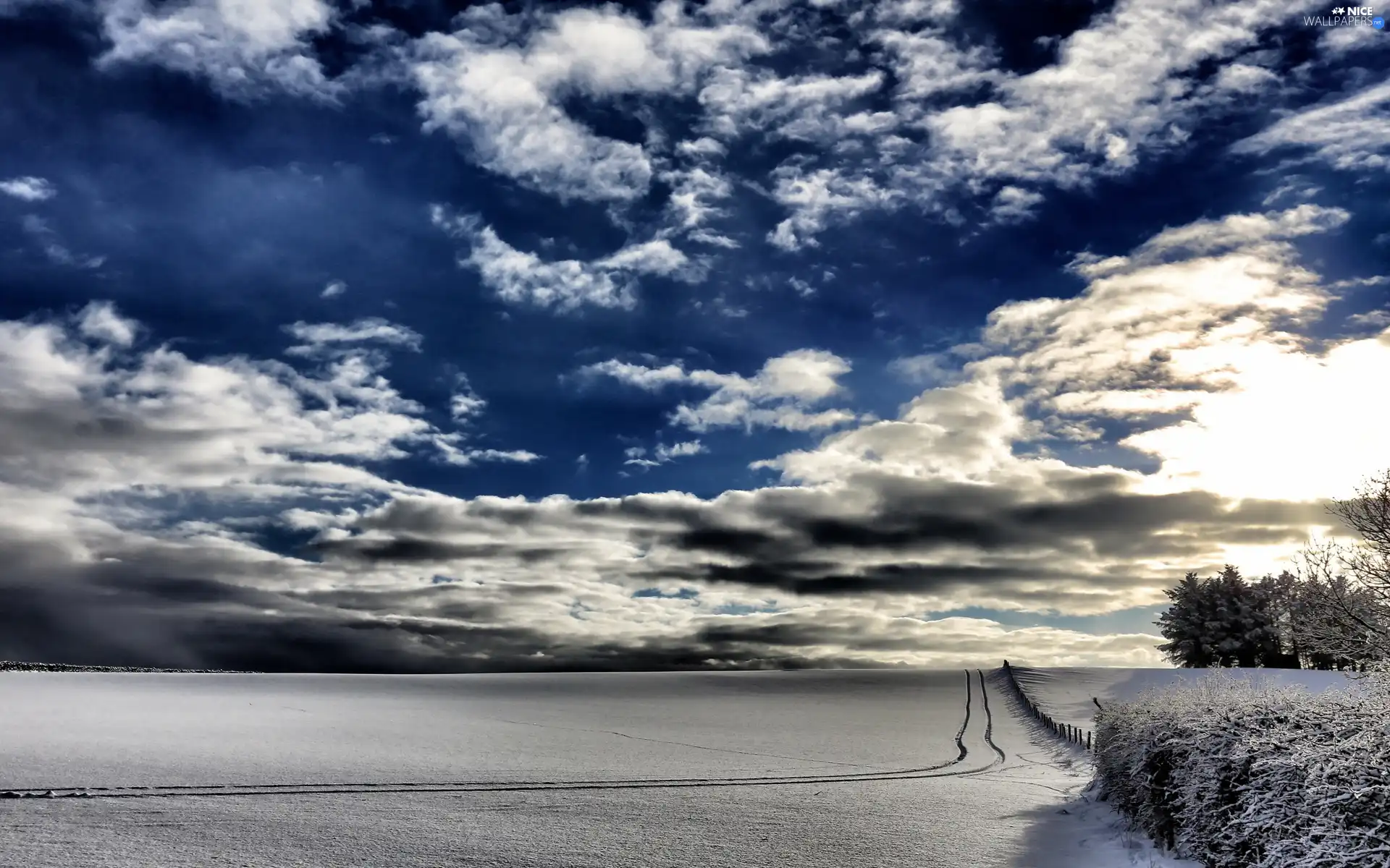 snow, winter, viewes, clouds, trees