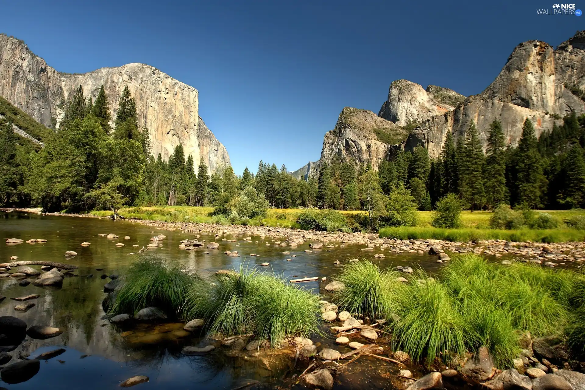 Mountains, River, Stones, forest