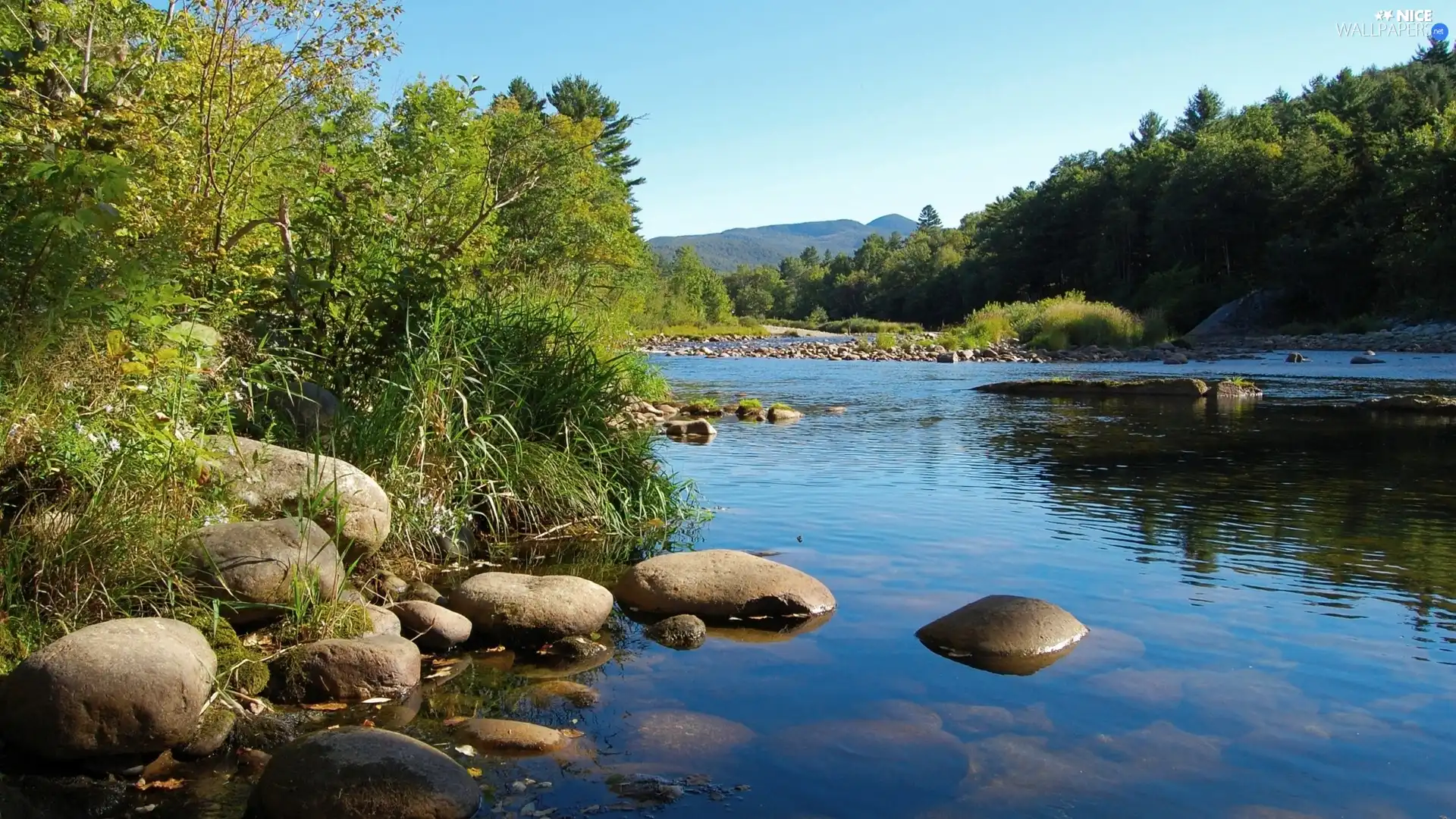 Stones, River, scrub