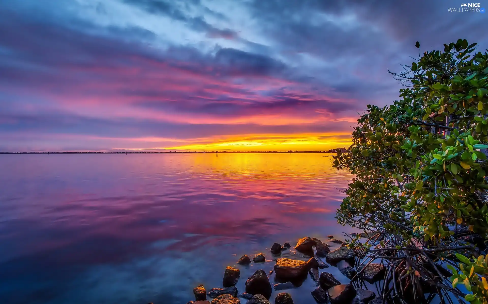 Great Sunsets, sea, Stones