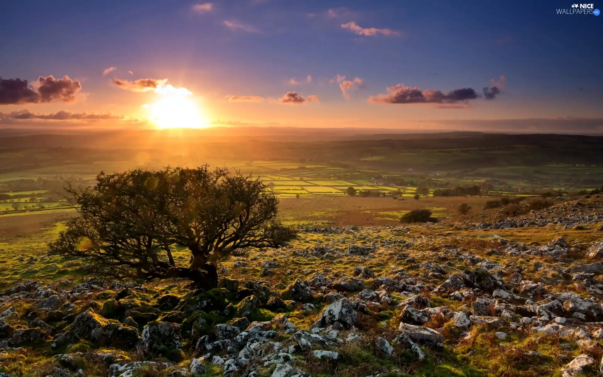 west, trees, Stones rocks, sun