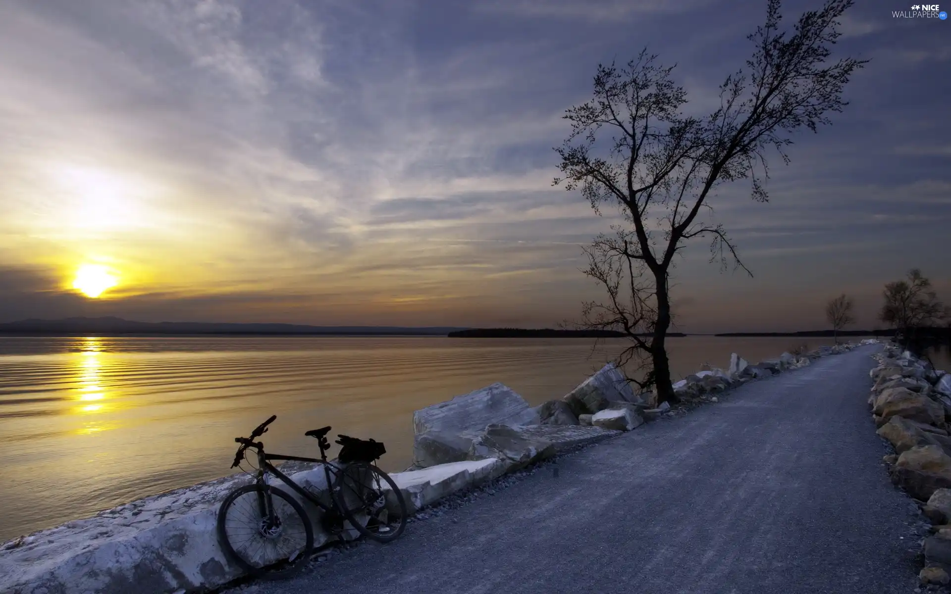 sun, Bike, lake, west, Way