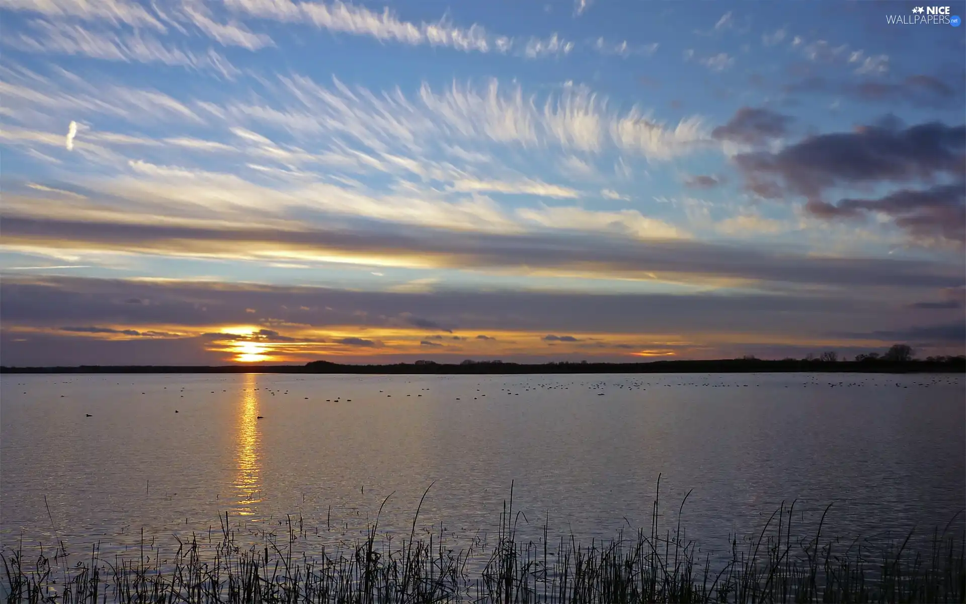 sun, clouds, grass, west, River