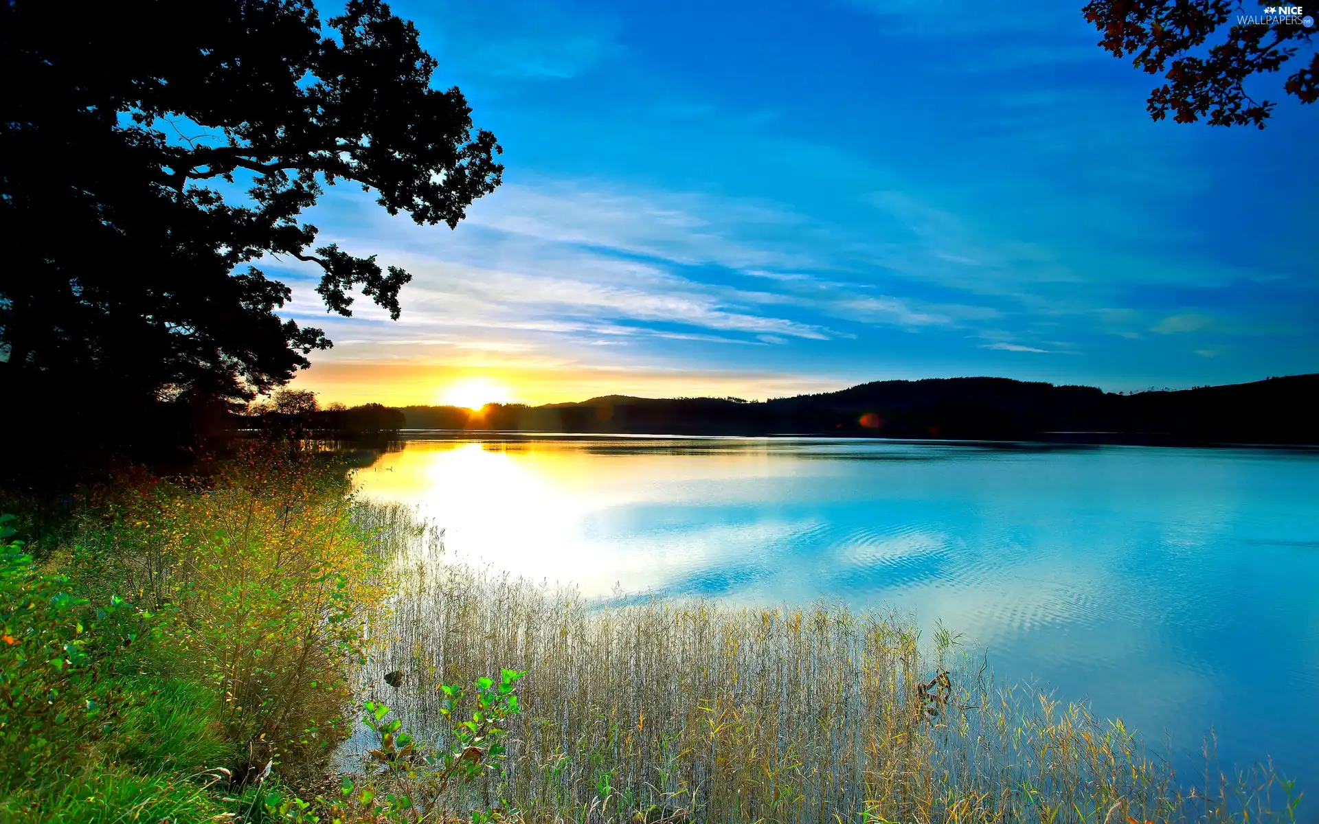 lake, west, sun, rushes