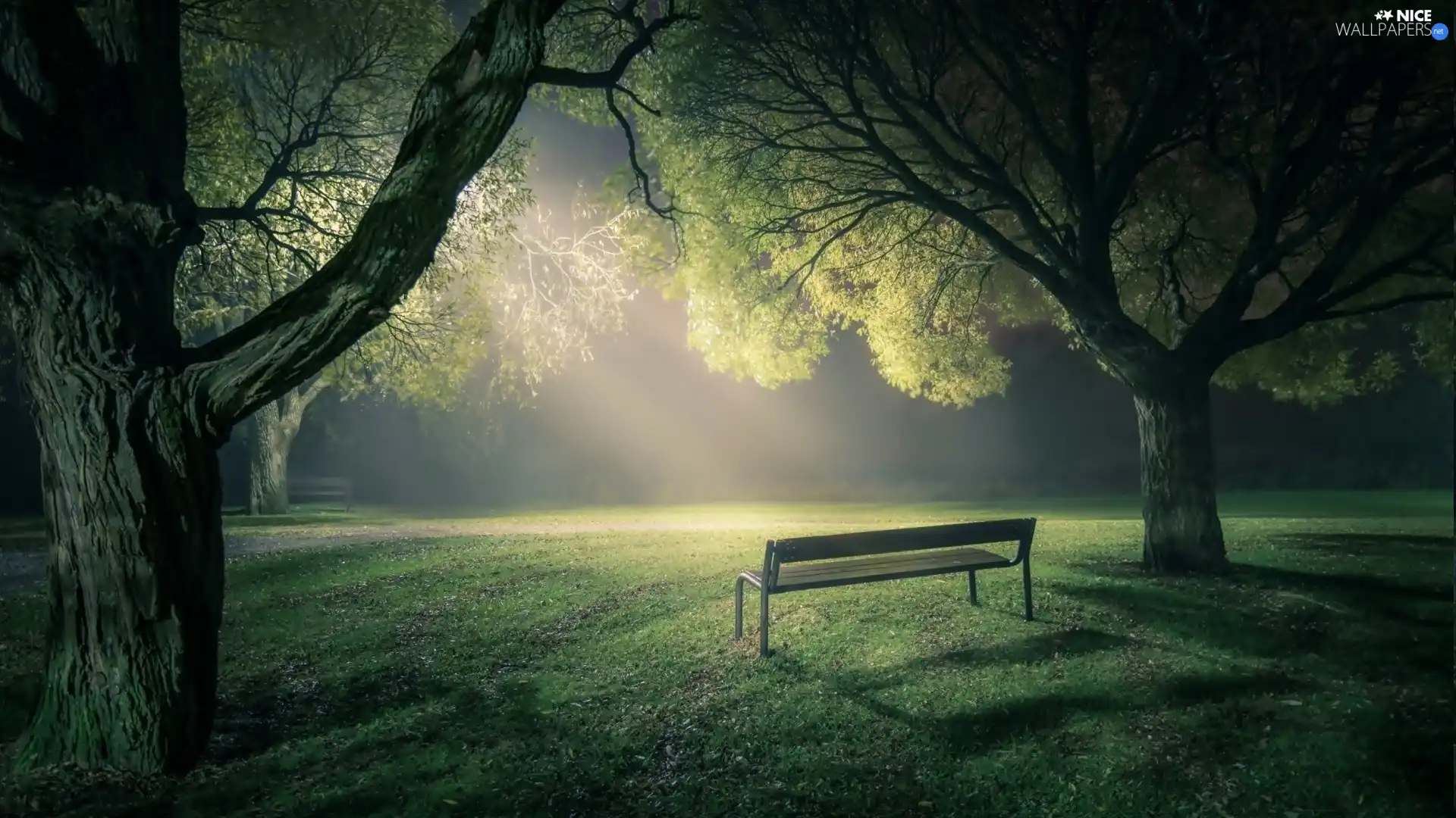 ligh, viewes, flash, Bench, trees, sun, luminosity