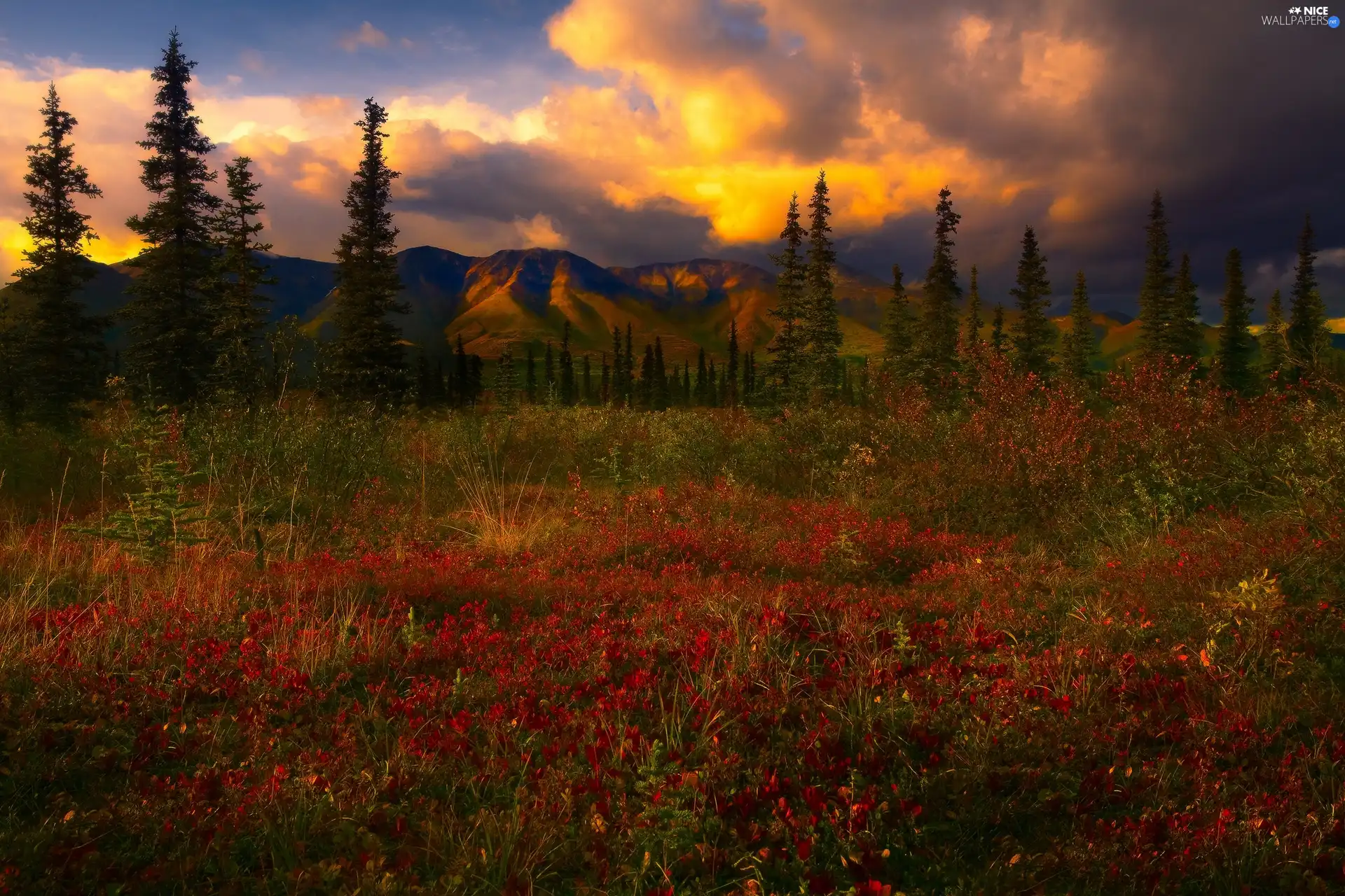 Mountains, west, sun, medows