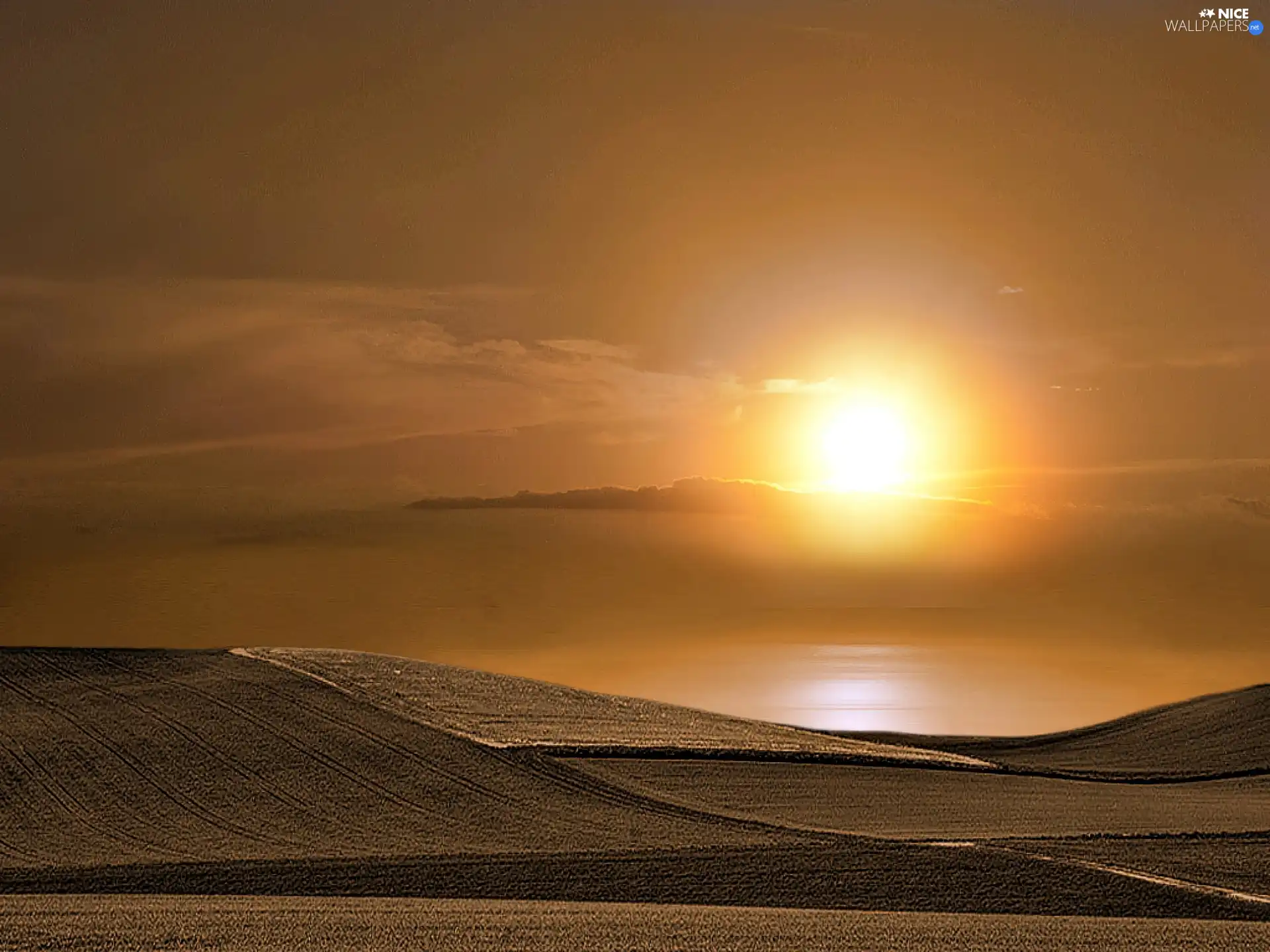 sun, Field, west