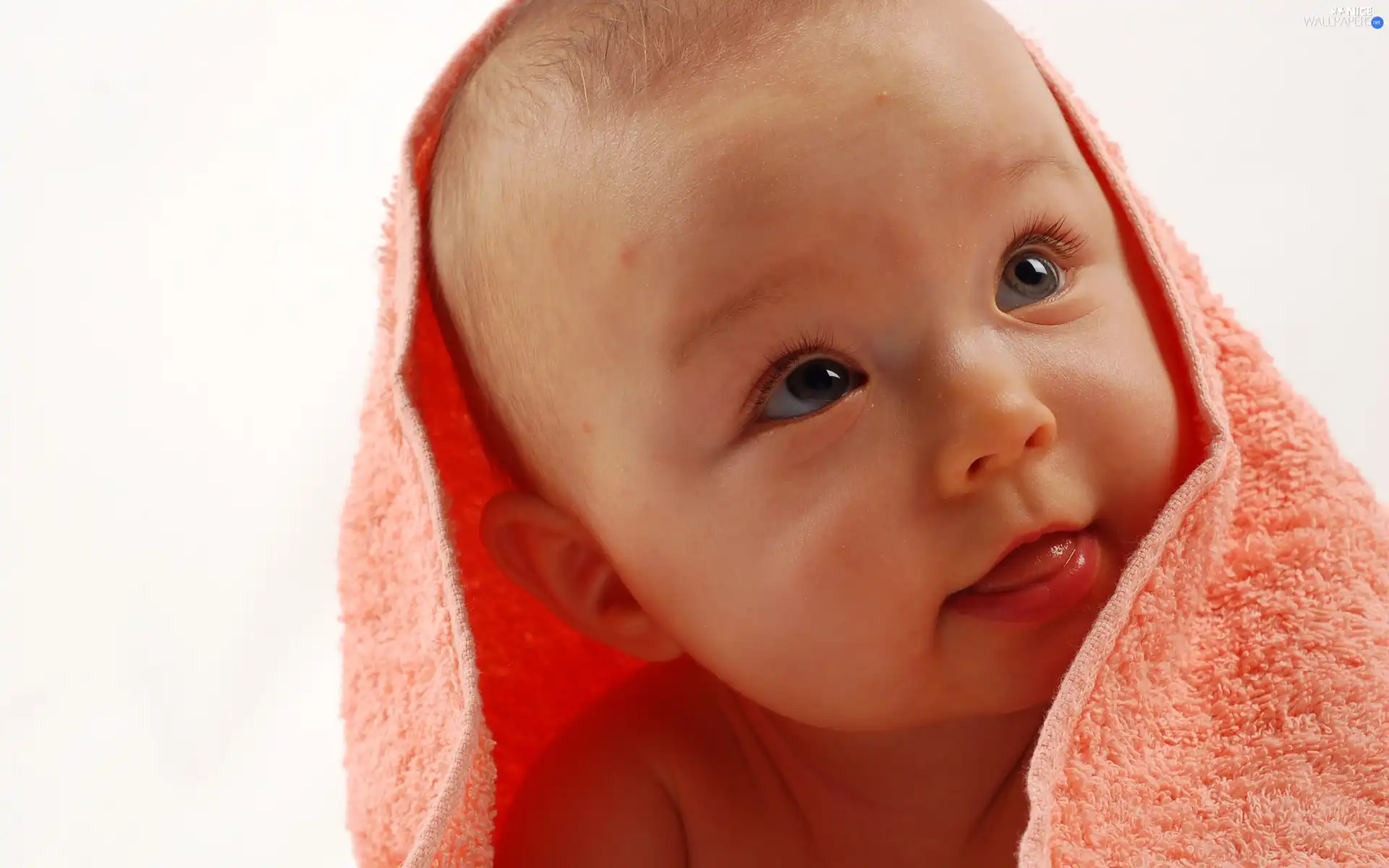 babe, Towel