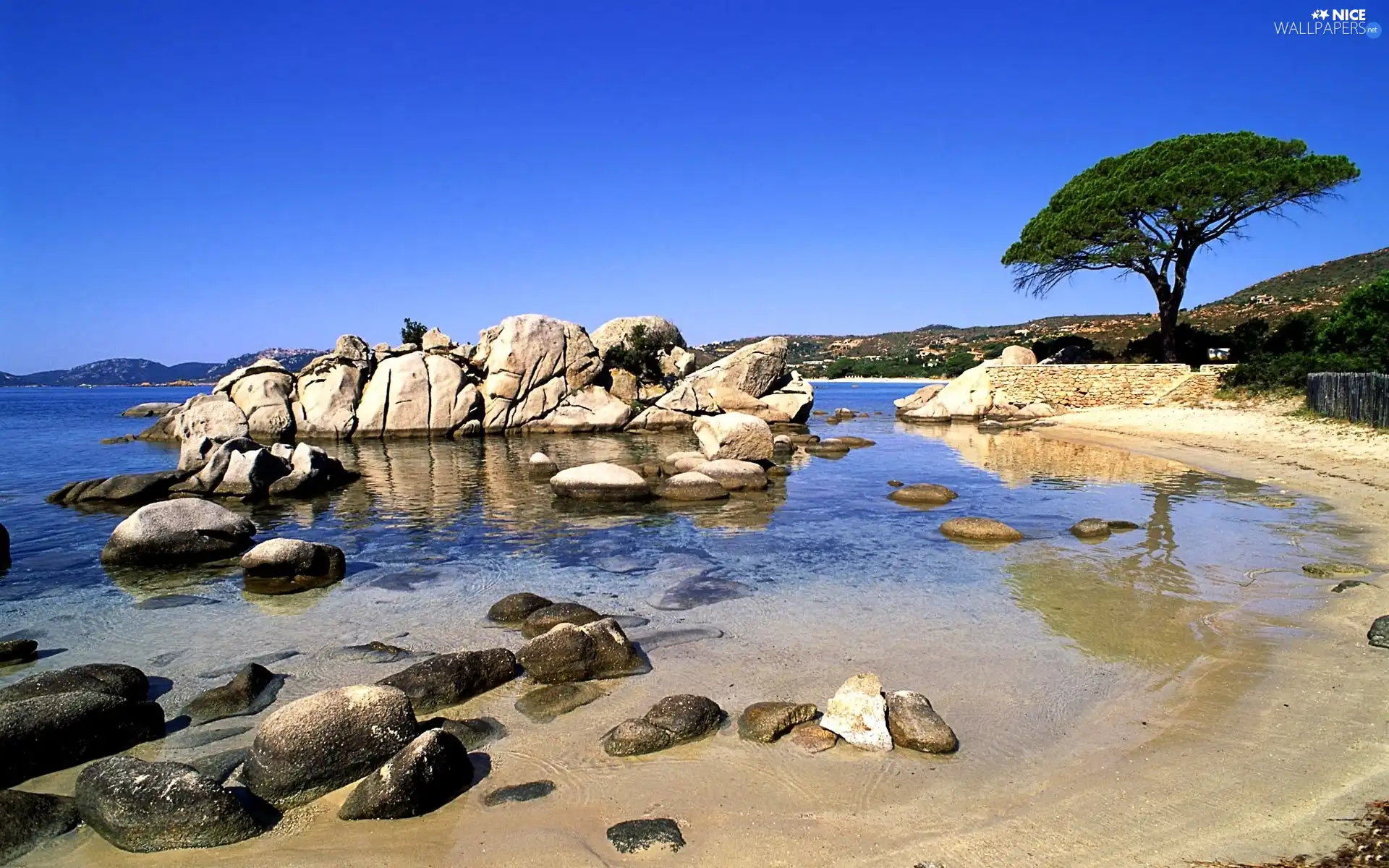 sea, coast, trees, rocks