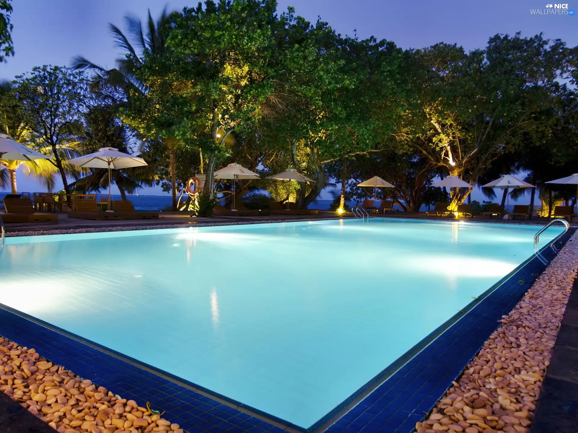 trees, Hotel hall, sea, Maldives, viewes, Pool