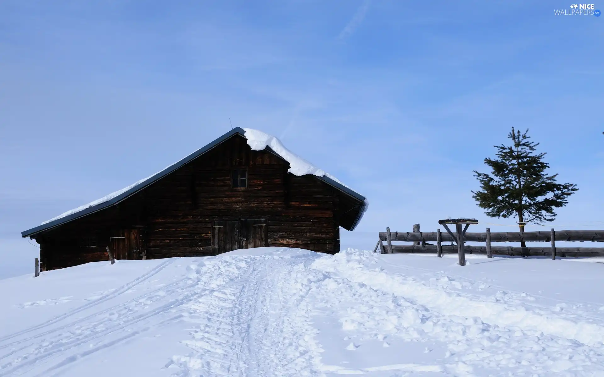 trees, Sky, Home, fence, snow