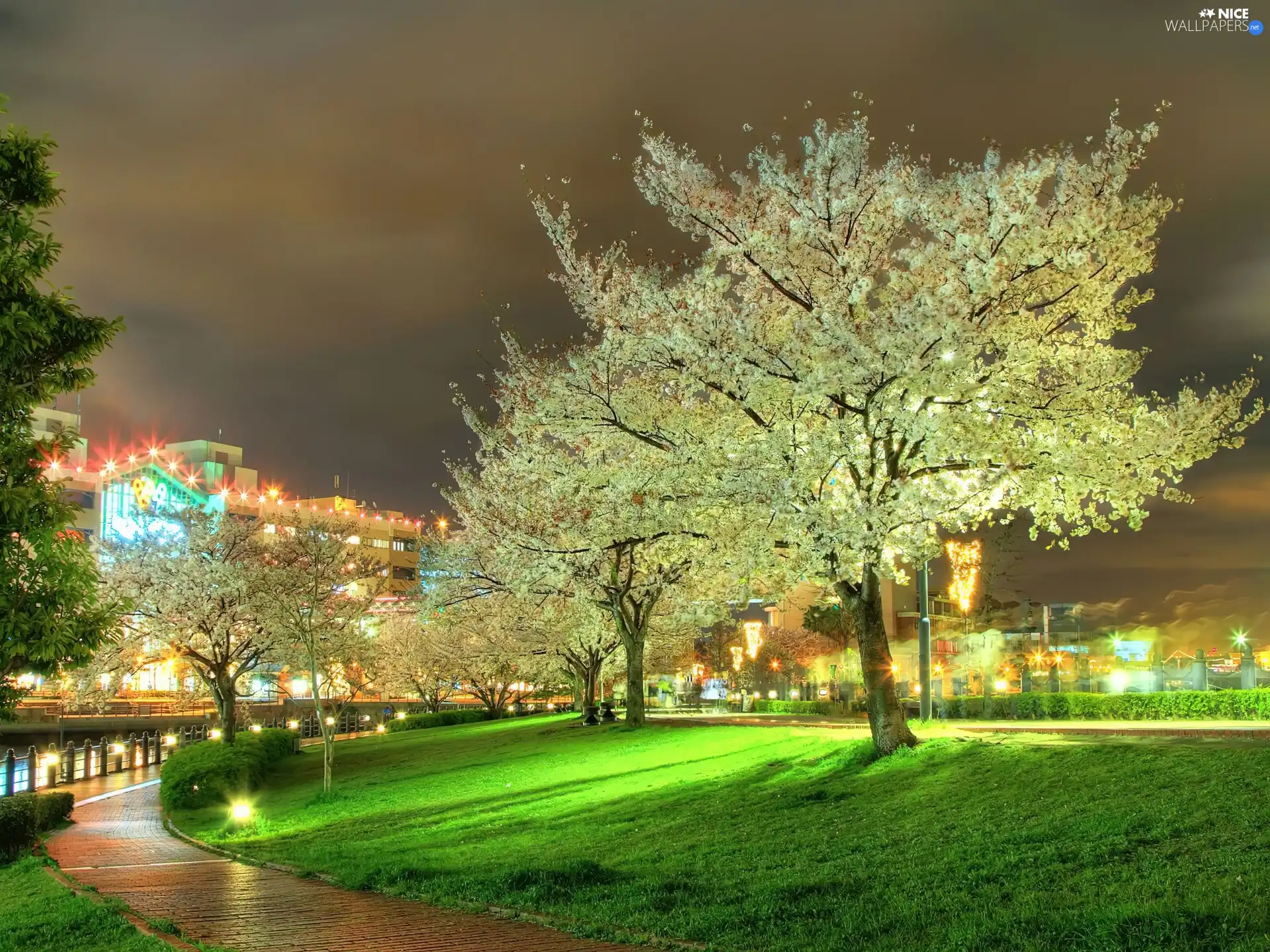 Town, Flourished, trees, evening