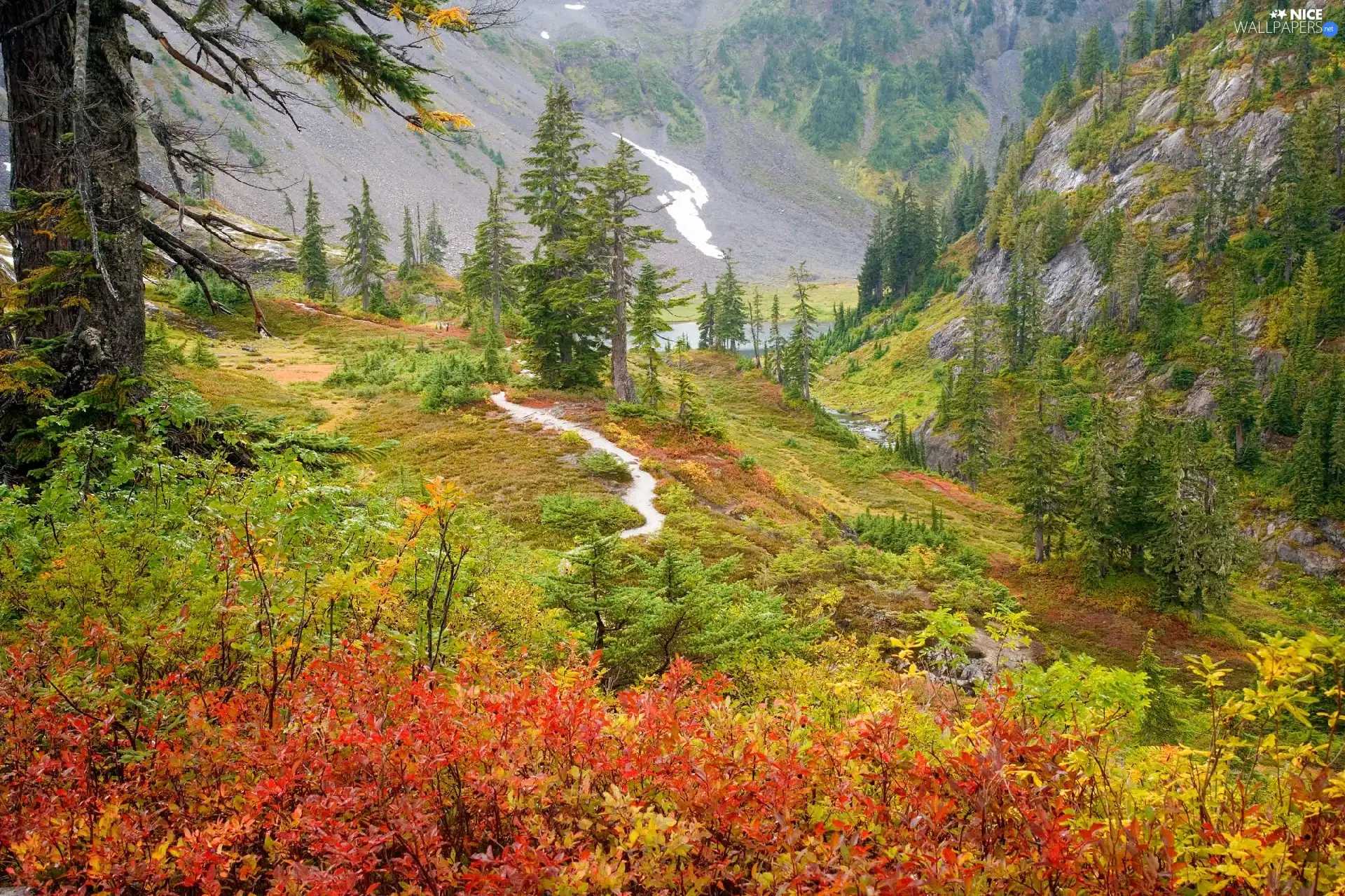 trees, viewes, Mountains, Path, autumn