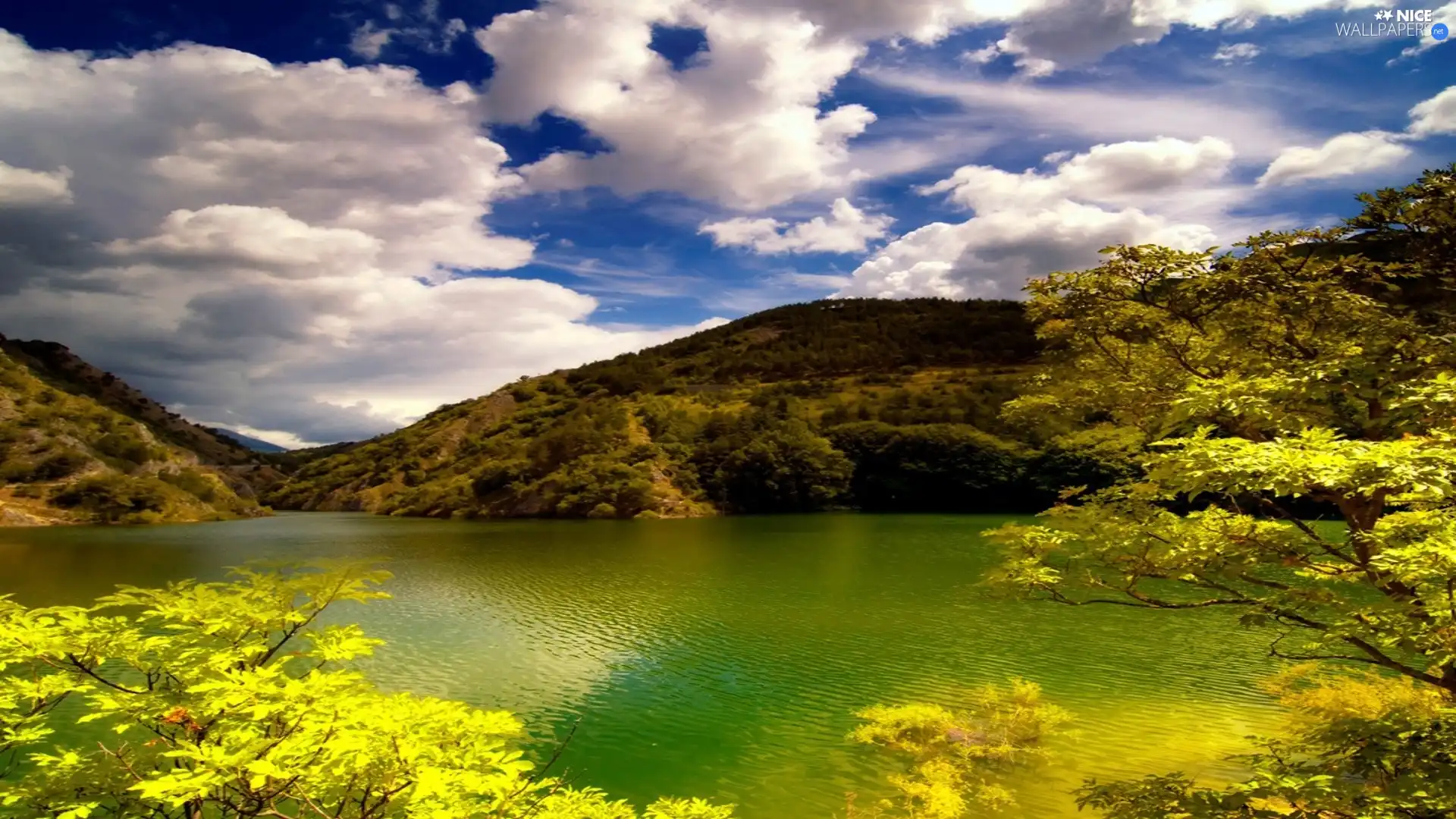 trees, viewes, Mountains, lake, clouds