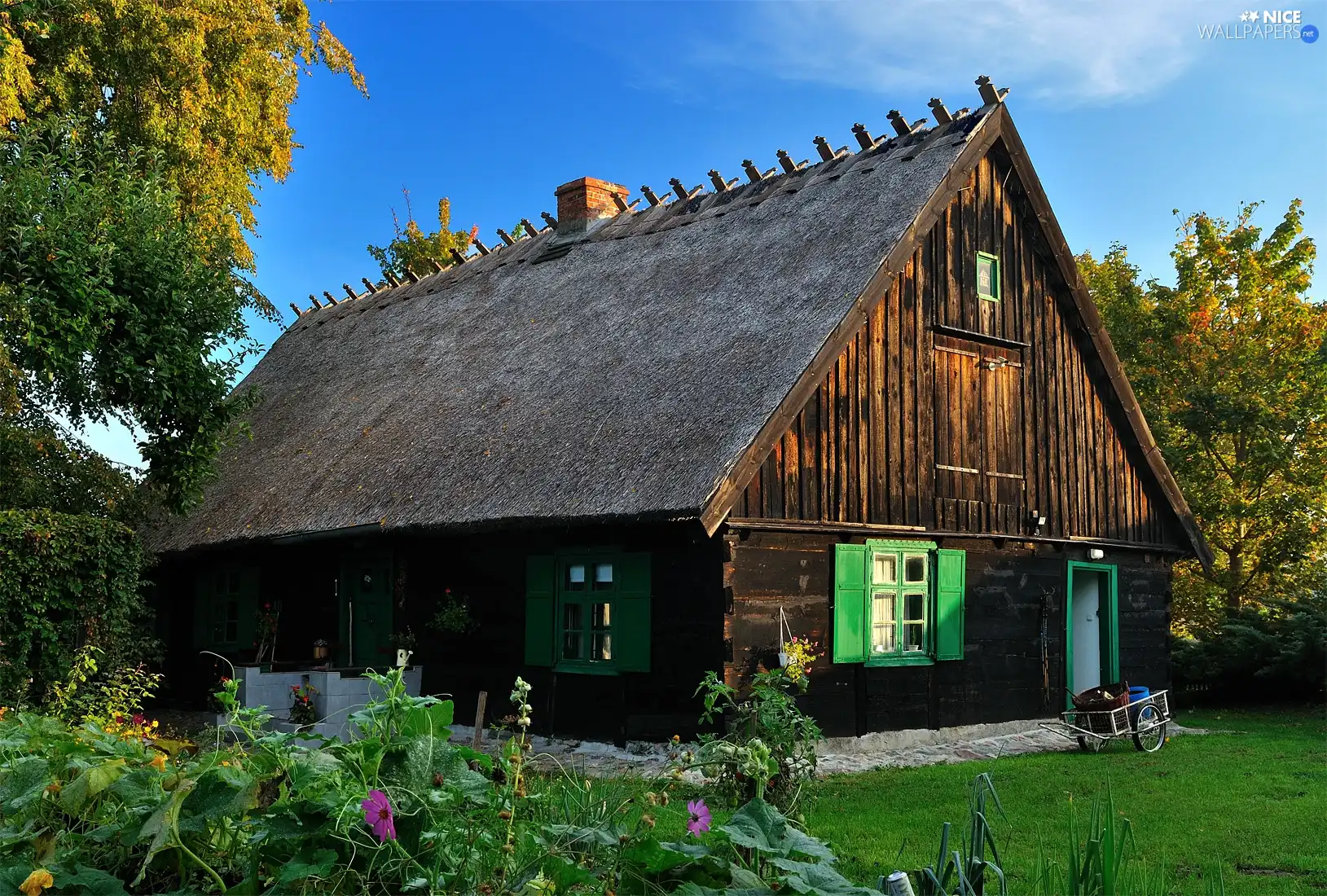 grass, wooden, trees, viewes, Flowers, Home