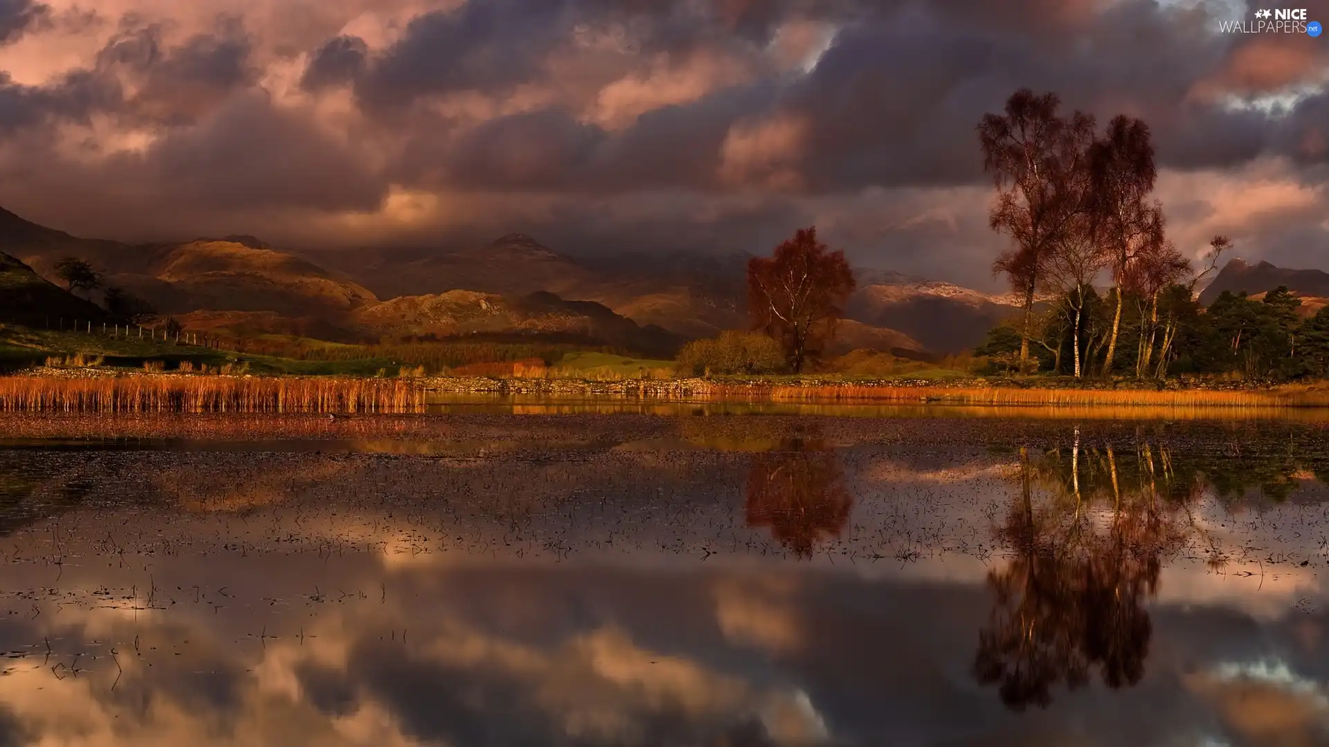 trees, viewes, clouds, lake, Mountains