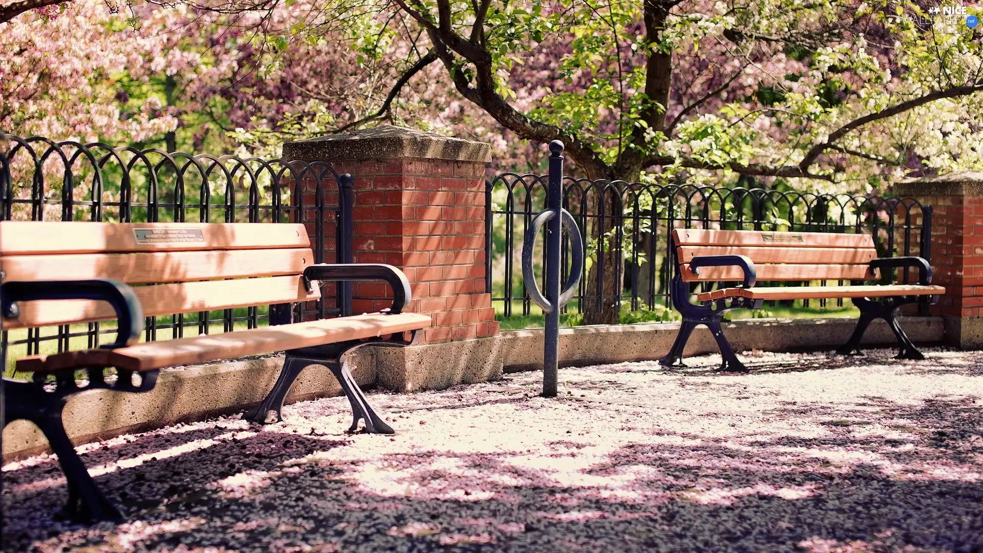 trees, viewes, bench, Hurdle, Park