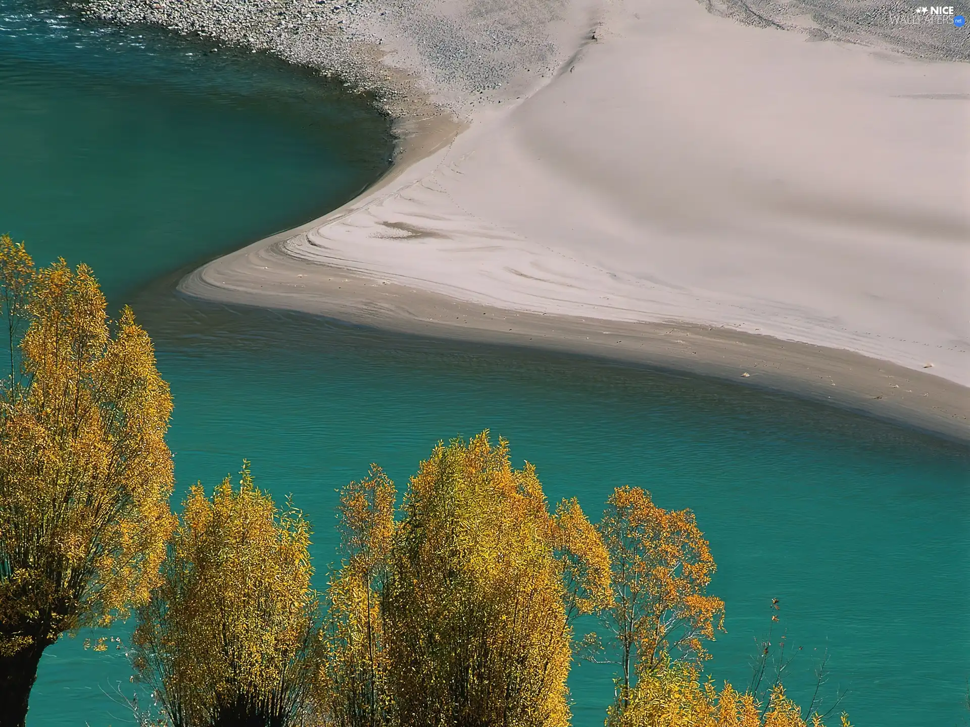 trees, viewes, sandy, coast, River