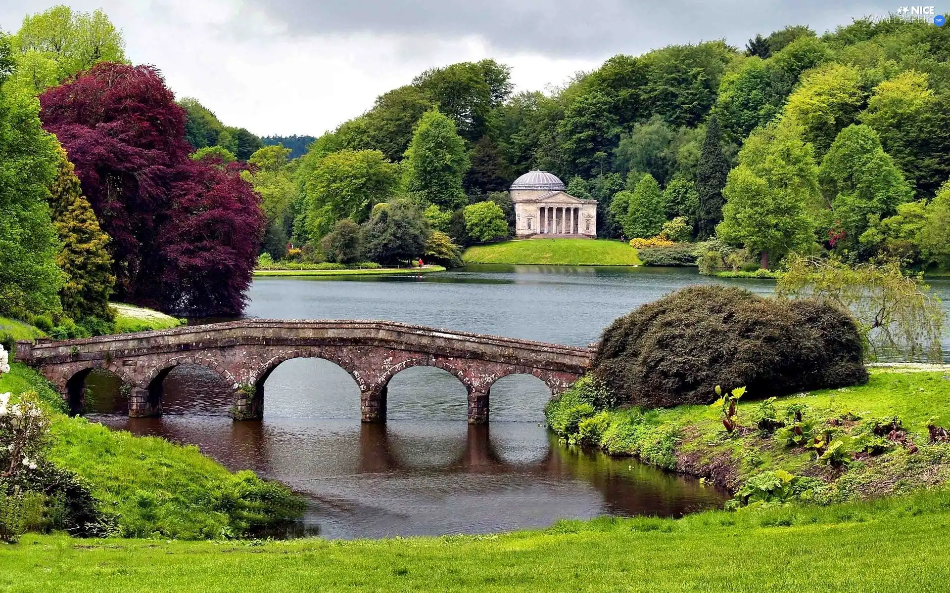 trees, viewes, bridges, grass, water