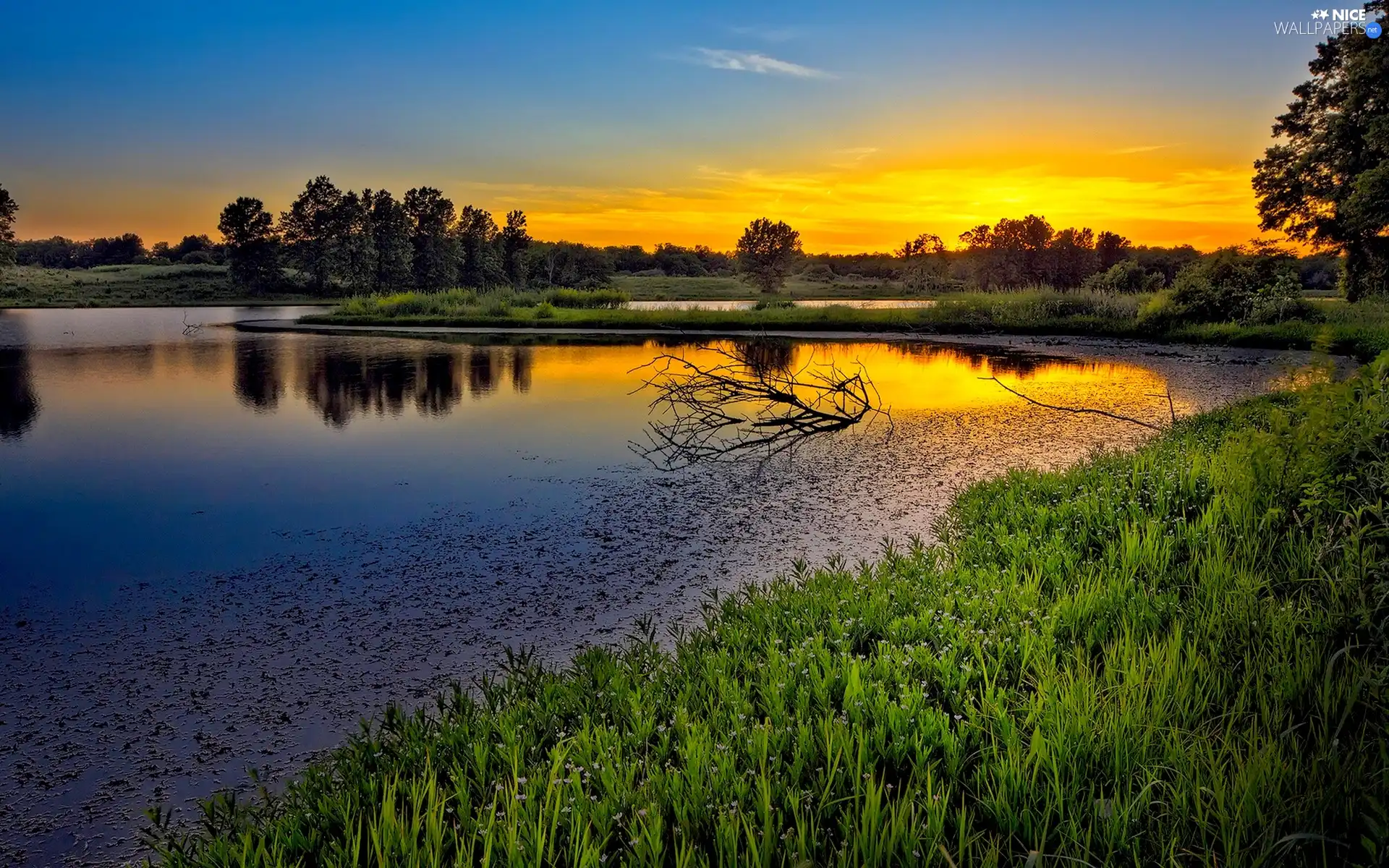 trees, viewes, sun, lake, west