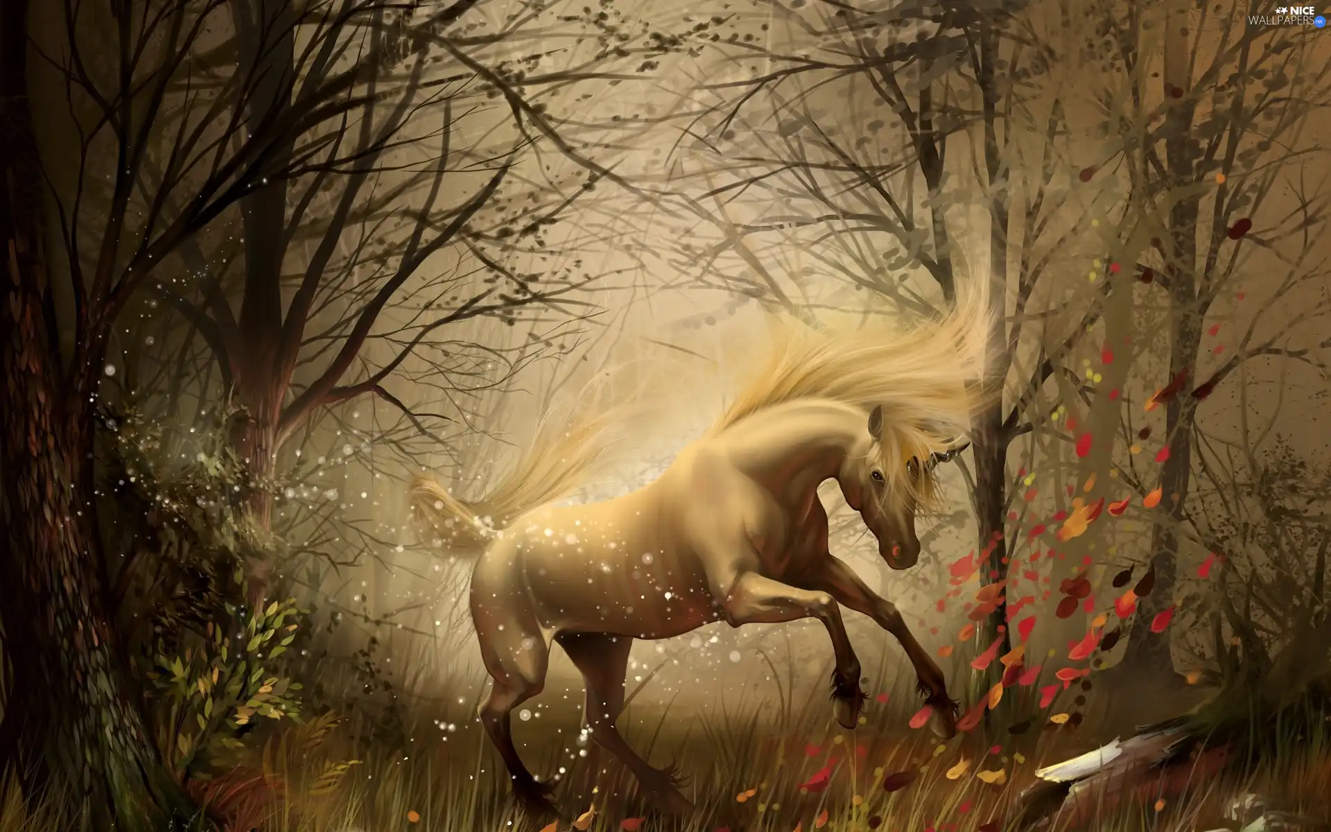 unicorn, forest, Leaf