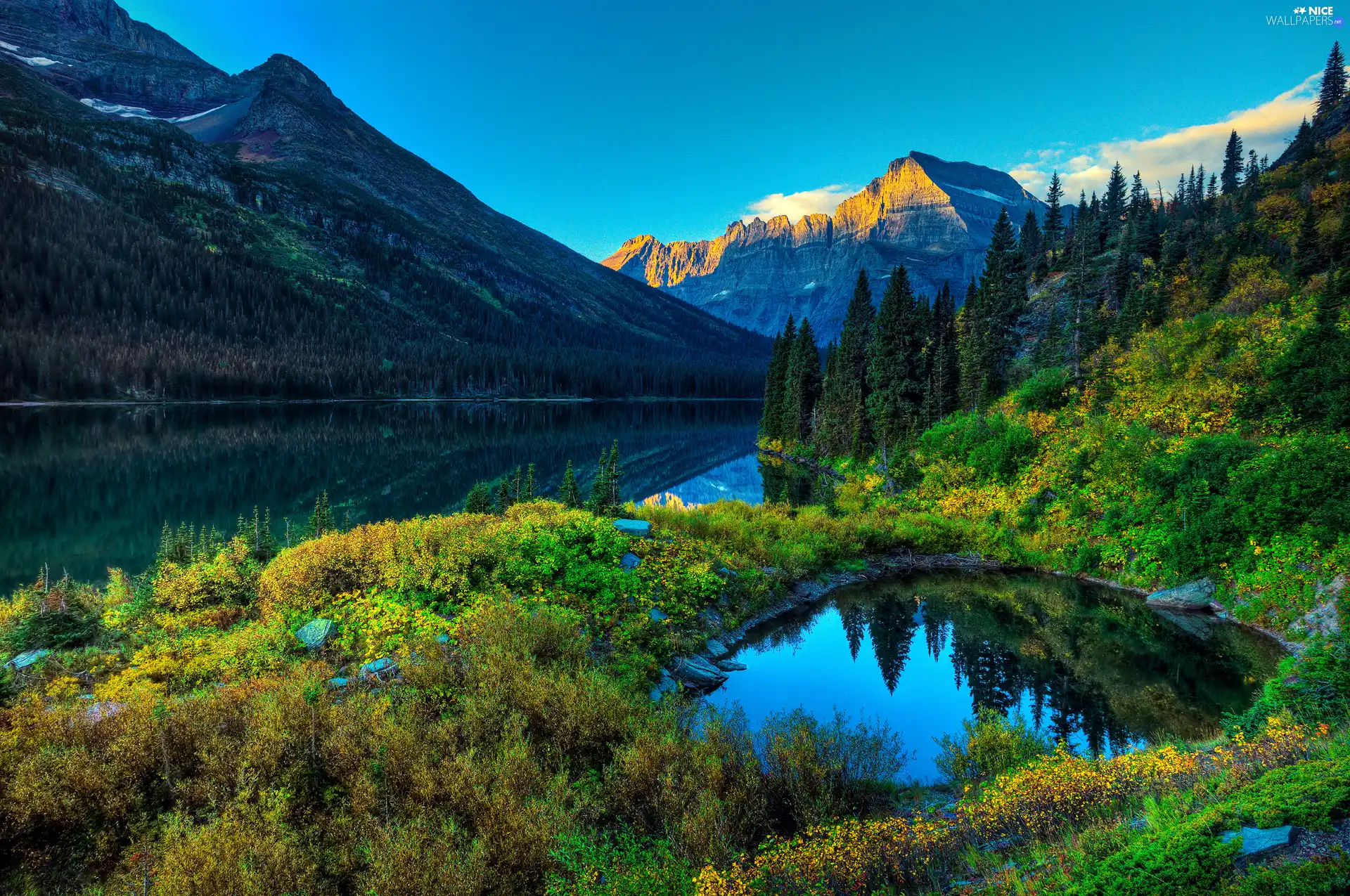 lake, Mountains, VEGETATION, forest