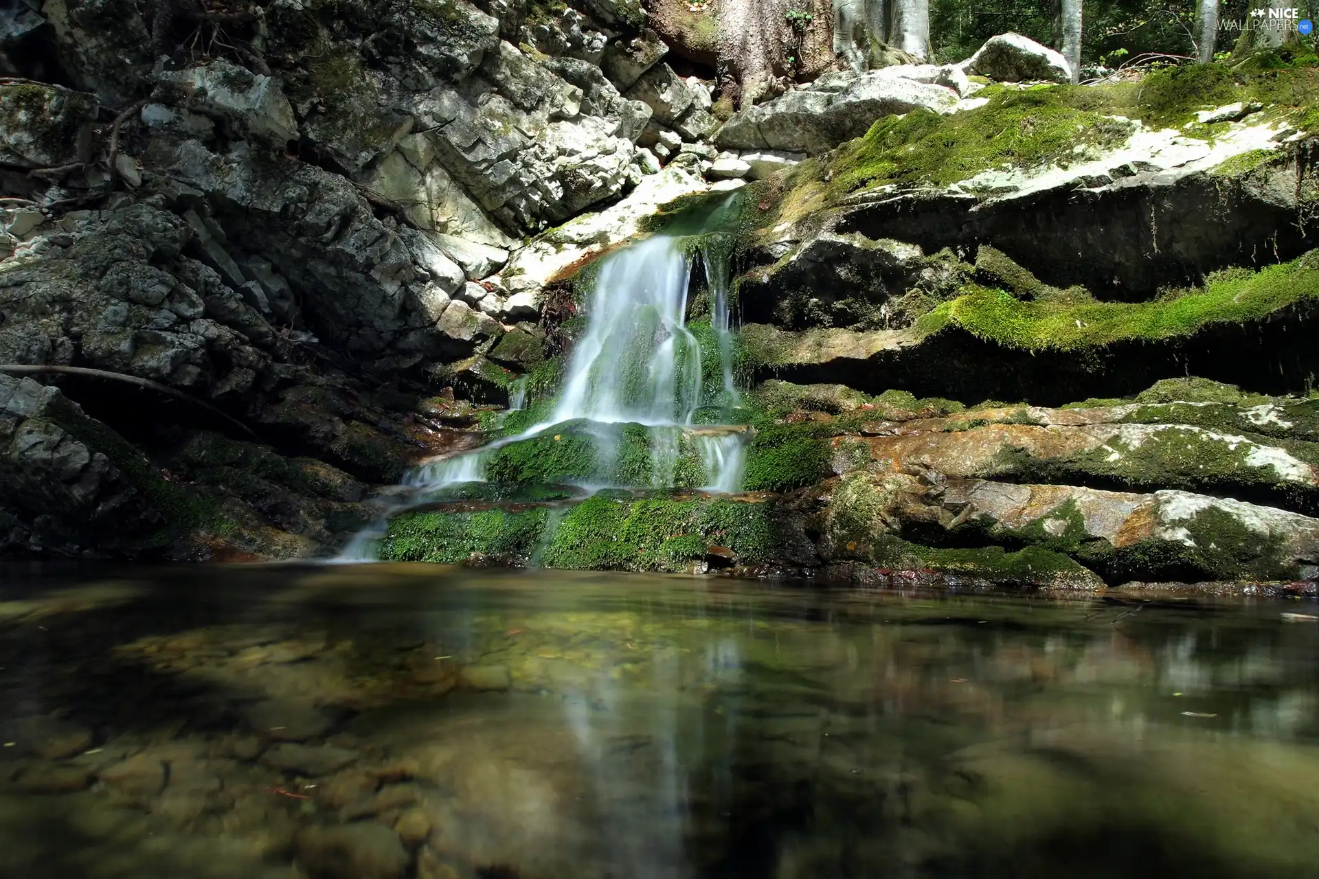 VEGETATION, waterfall, rocks