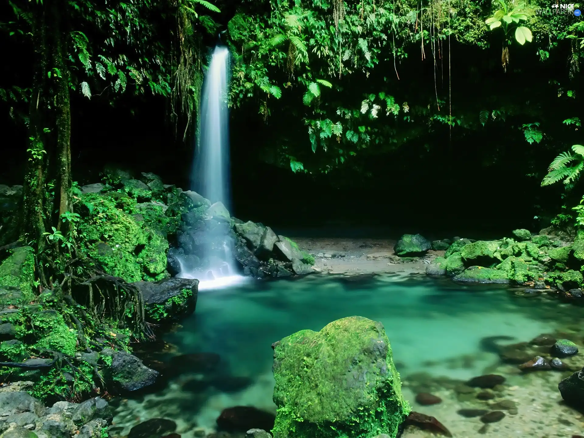 VEGETATION, waterfall, Stones