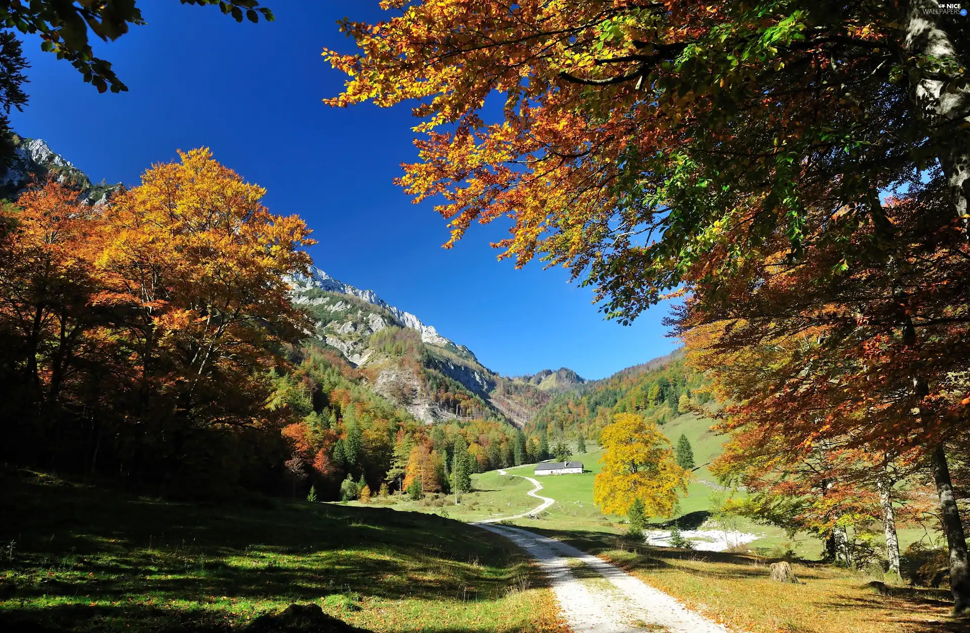 viewes, autumn, Way, trees, Mountains