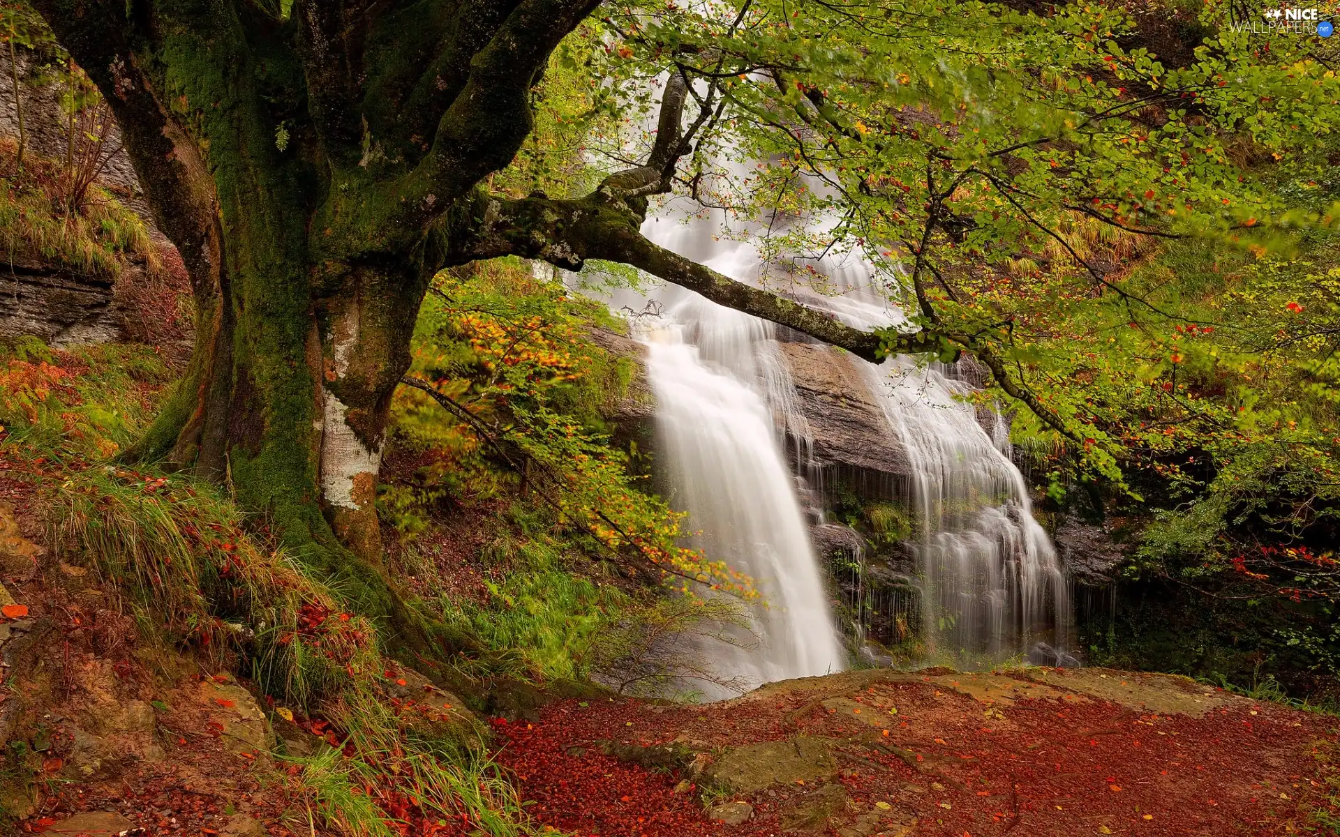 viewes, autumn, rocks, trees, waterfall