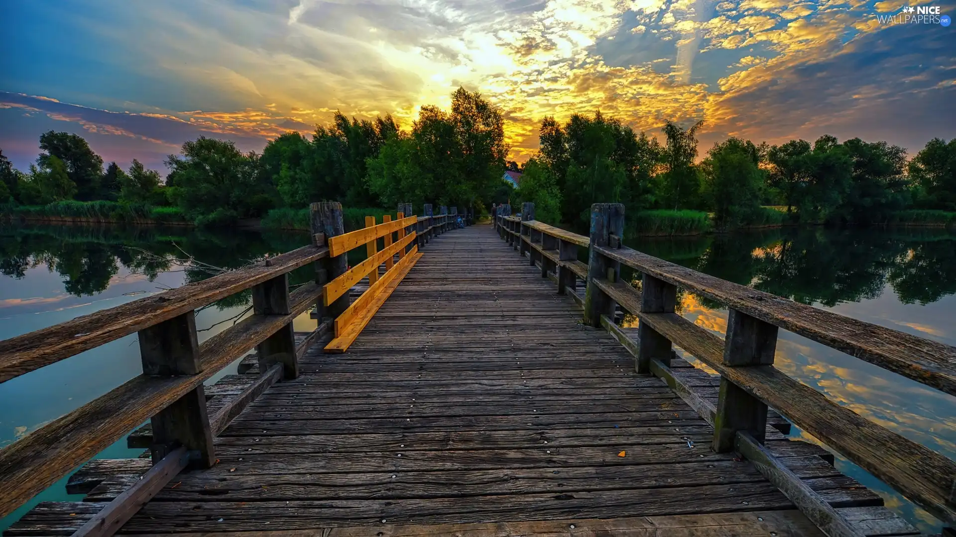 viewes, bridge, sun, trees, west